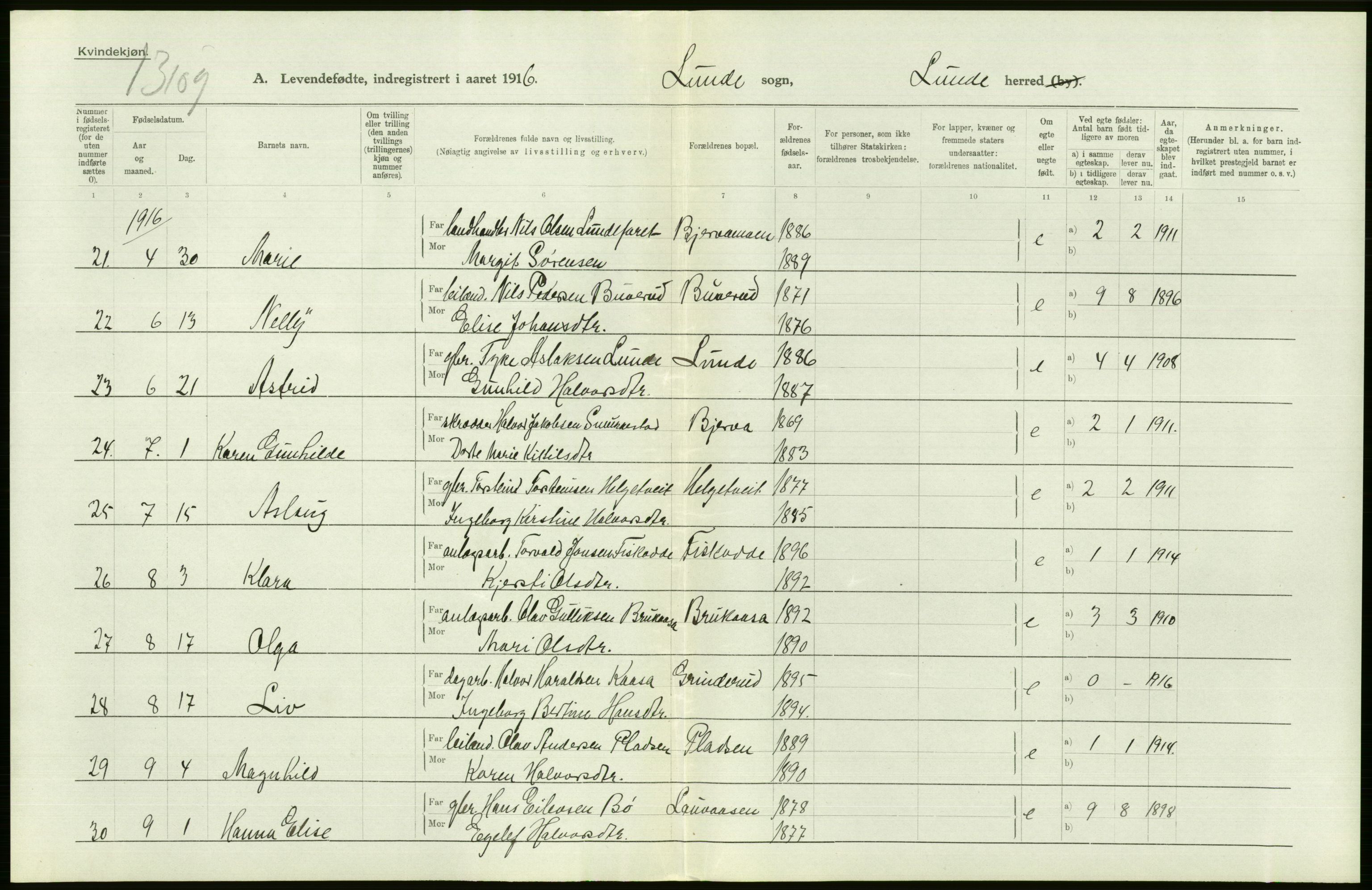 Statistisk sentralbyrå, Sosiodemografiske emner, Befolkning, AV/RA-S-2228/D/Df/Dfb/Dfbf/L0022: Bratsberg amt: Levendefødte menn og kvinner. Bygder., 1916, s. 304