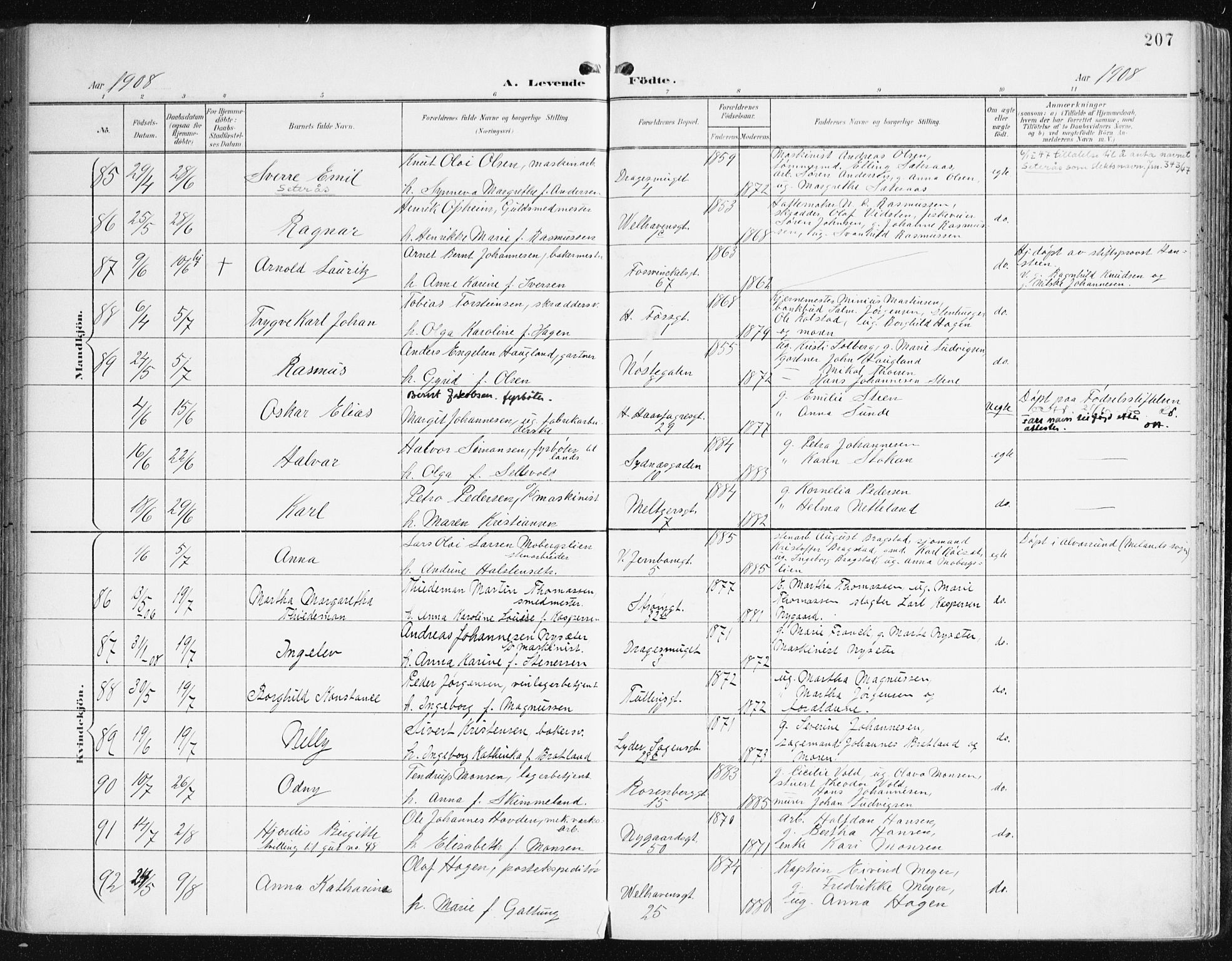 Johanneskirken sokneprestembete, AV/SAB-A-76001/H/Haa/L0002: Ministerialbok nr. A 2, 1900-1912, s. 207