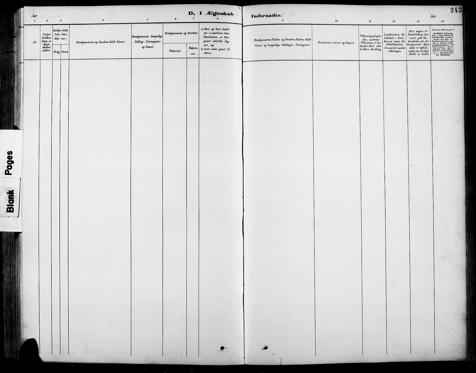Sel prestekontor, SAH/PREST-074/H/Ha/Hab/L0001: Klokkerbok nr. 1, 1894-1923, s. 243