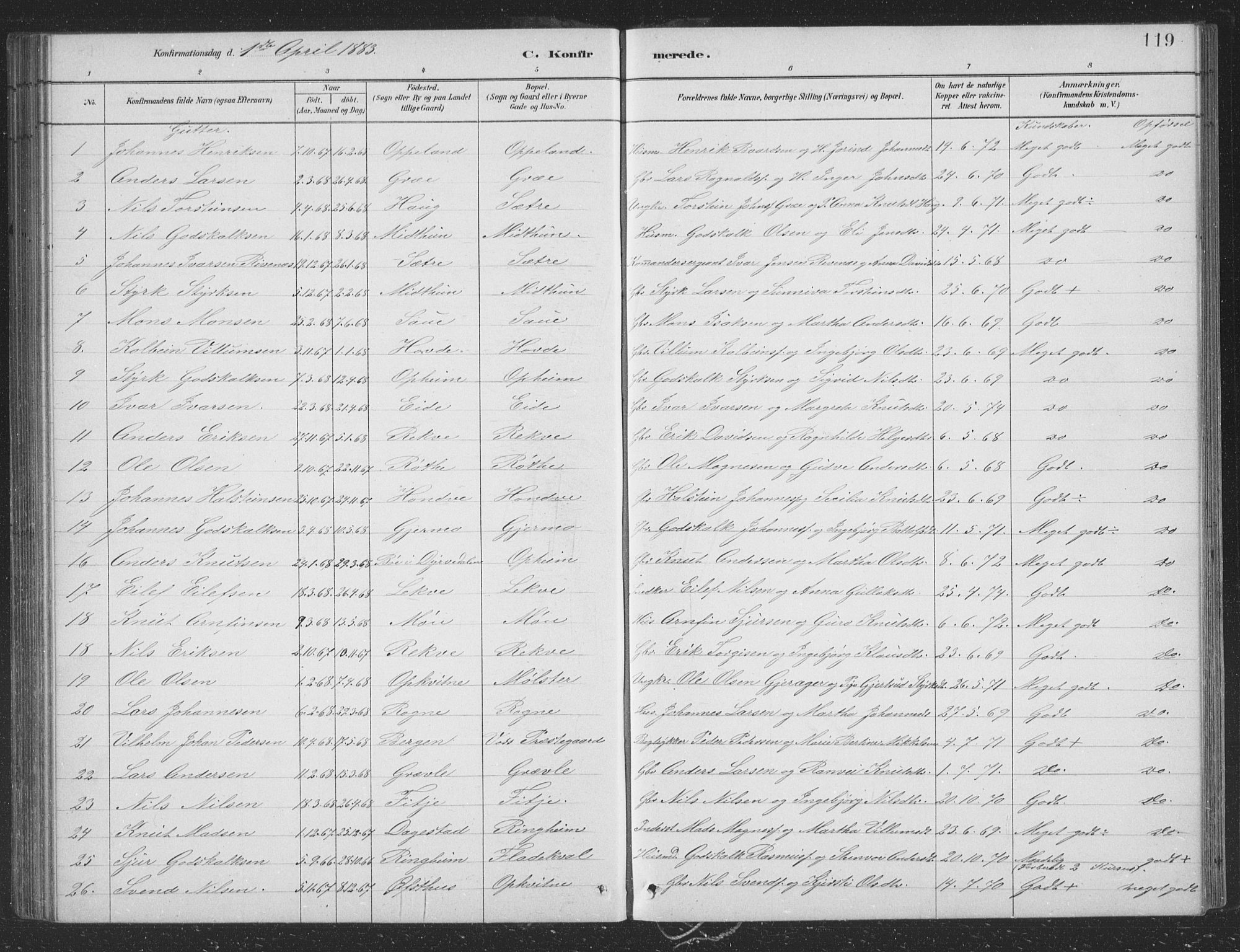 Voss sokneprestembete, AV/SAB-A-79001/H/Hab: Klokkerbok nr. B 3, 1879-1894, s. 119