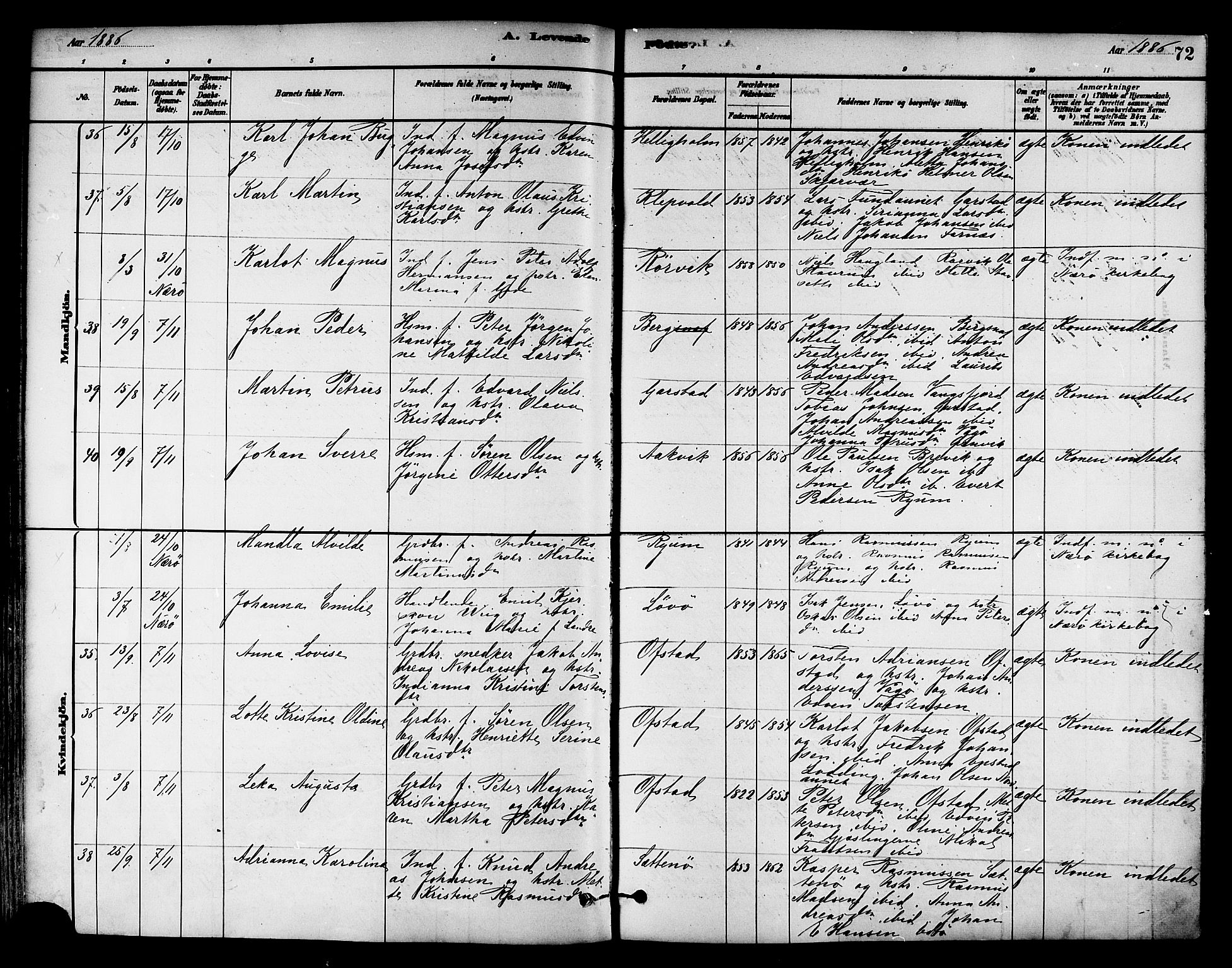 Ministerialprotokoller, klokkerbøker og fødselsregistre - Nord-Trøndelag, AV/SAT-A-1458/786/L0686: Ministerialbok nr. 786A02, 1880-1887, s. 72