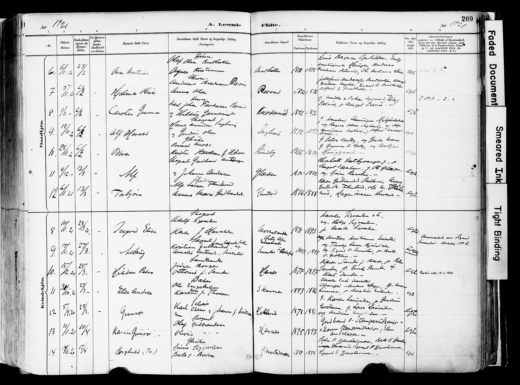 Sør-Odal prestekontor, AV/SAH-PREST-030/H/Ha/Haa/L0006: Ministerialbok nr. 6, 1886-1931, s. 269
