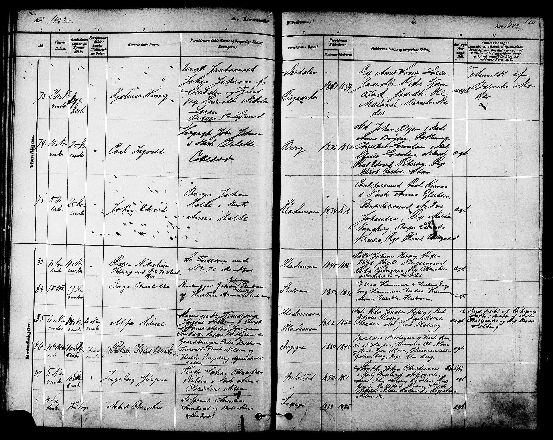 Ministerialprotokoller, klokkerbøker og fødselsregistre - Sør-Trøndelag, SAT/A-1456/606/L0294: Ministerialbok nr. 606A09, 1878-1886, s. 120