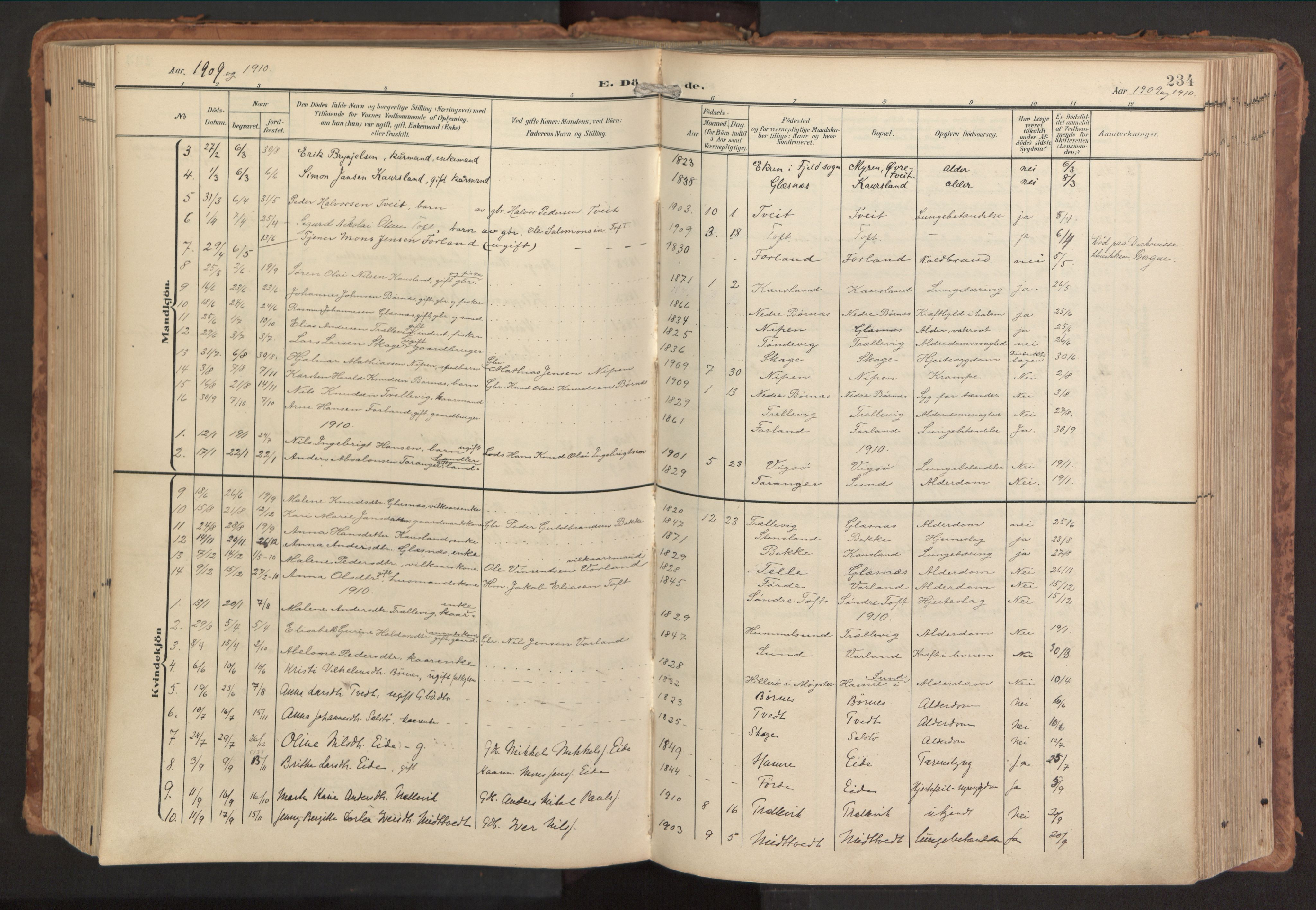 Sund sokneprestembete, AV/SAB-A-99930: Ministerialbok nr. B 2, 1907-1926, s. 234