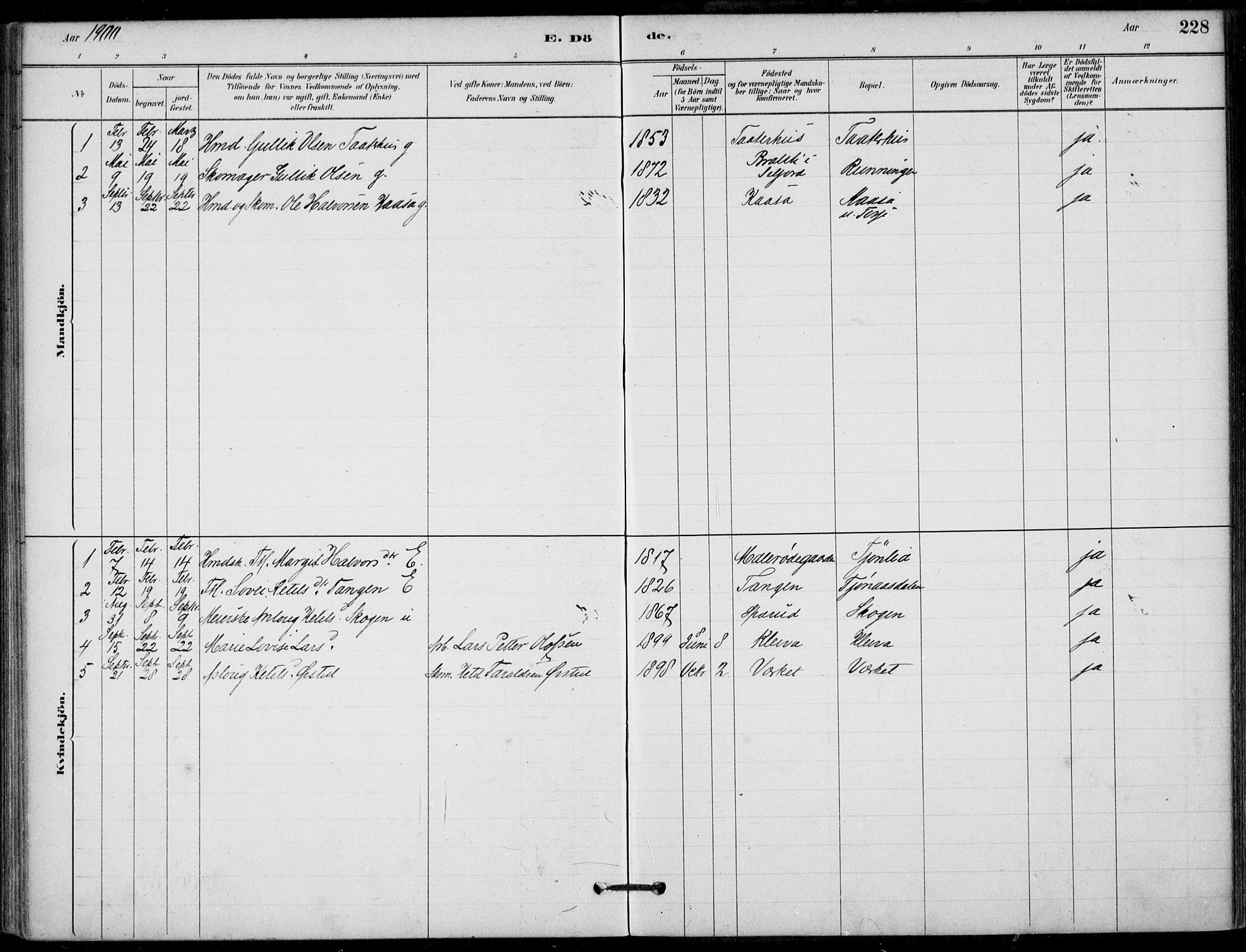 Hjartdal kirkebøker, AV/SAKO-A-270/F/Fb/L0002: Ministerialbok nr. II 2, 1880-1932, s. 228