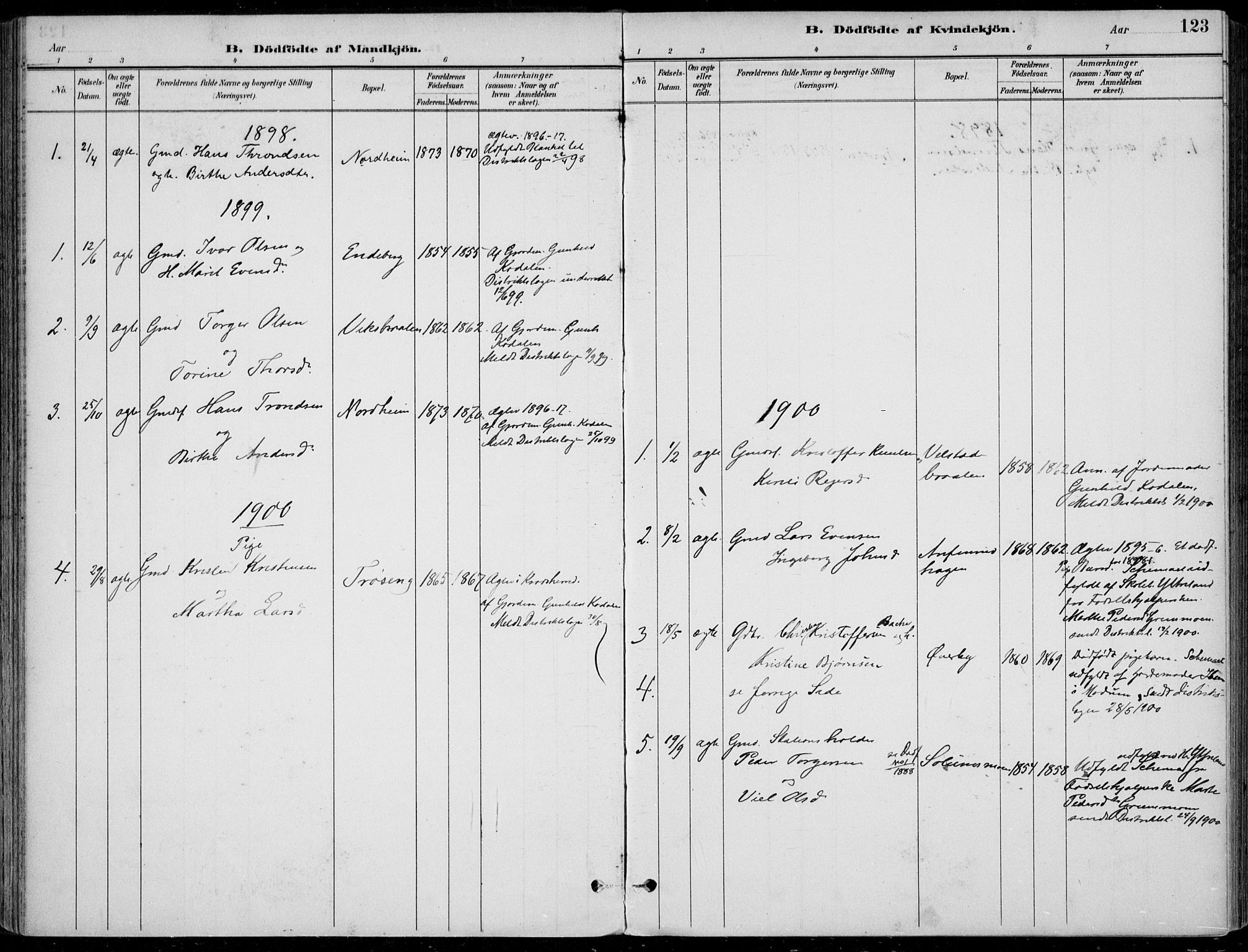 Sigdal kirkebøker, AV/SAKO-A-245/F/Fb/L0001: Ministerialbok nr. II 1, 1888-1900, s. 123