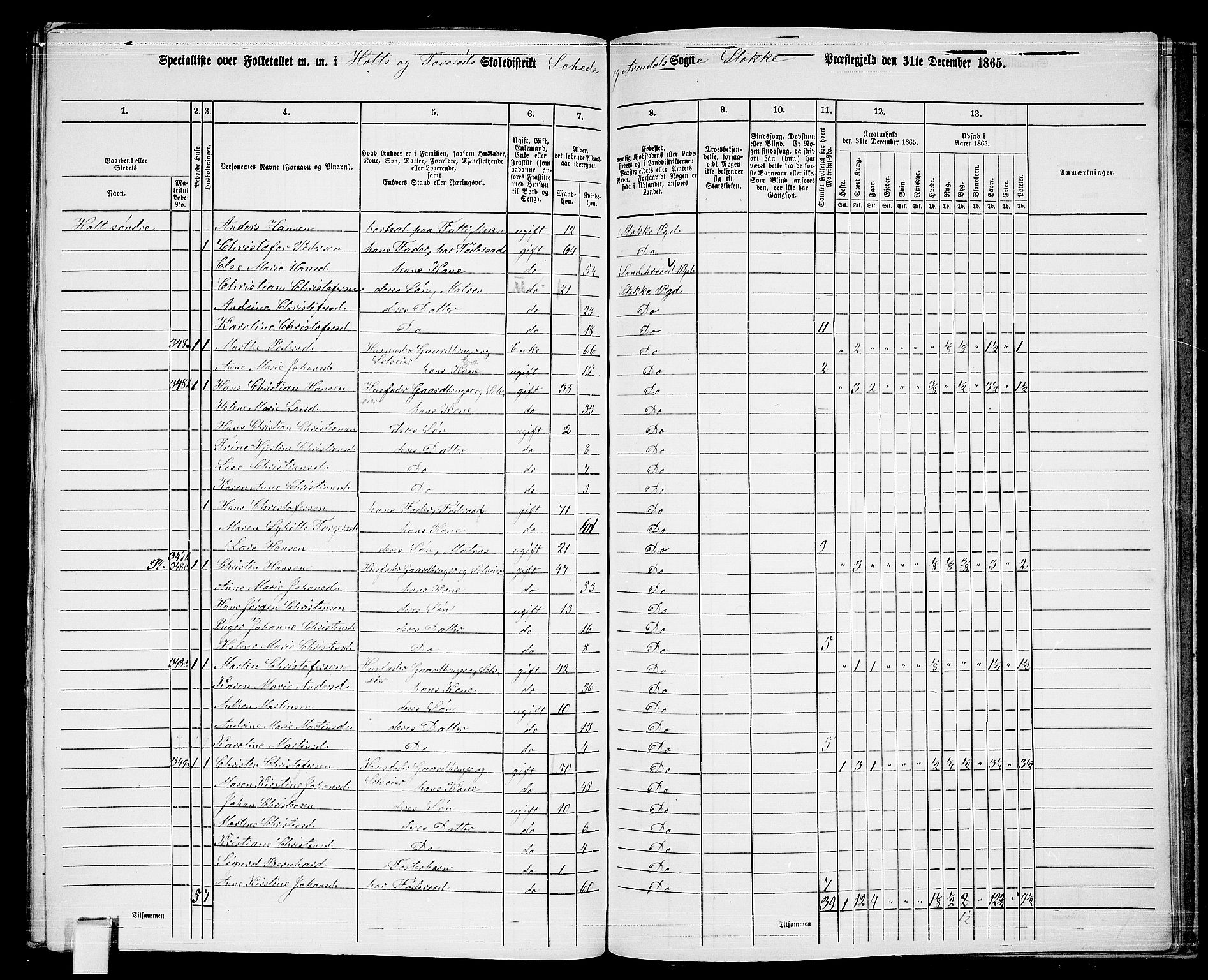 RA, Folketelling 1865 for 0720P Stokke prestegjeld, 1865, s. 168