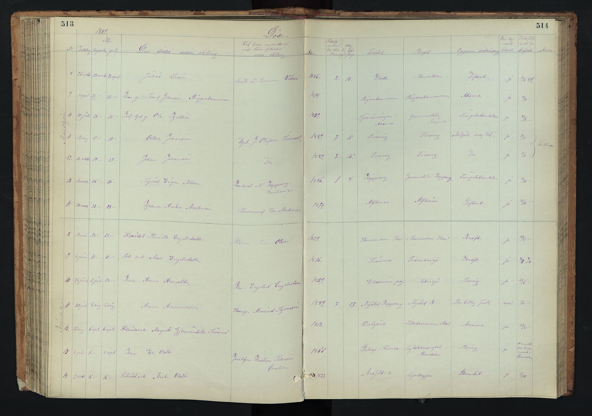 Stor-Elvdal prestekontor, AV/SAH-PREST-052/H/Ha/Hab/L0002: Klokkerbok nr. 2, 1860-1894, s. 513-514