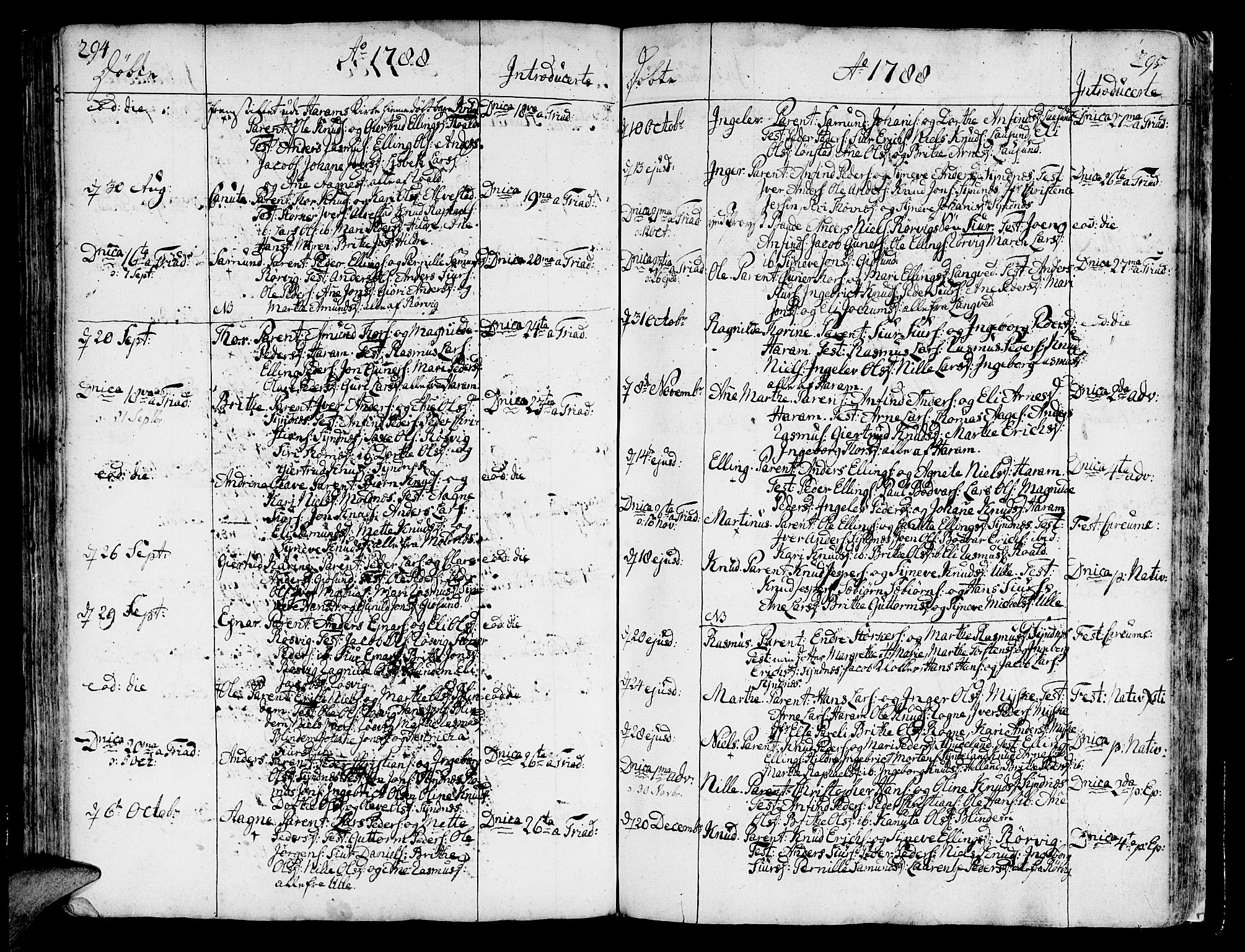 Ministerialprotokoller, klokkerbøker og fødselsregistre - Møre og Romsdal, AV/SAT-A-1454/536/L0493: Ministerialbok nr. 536A02, 1739-1802, s. 294-295