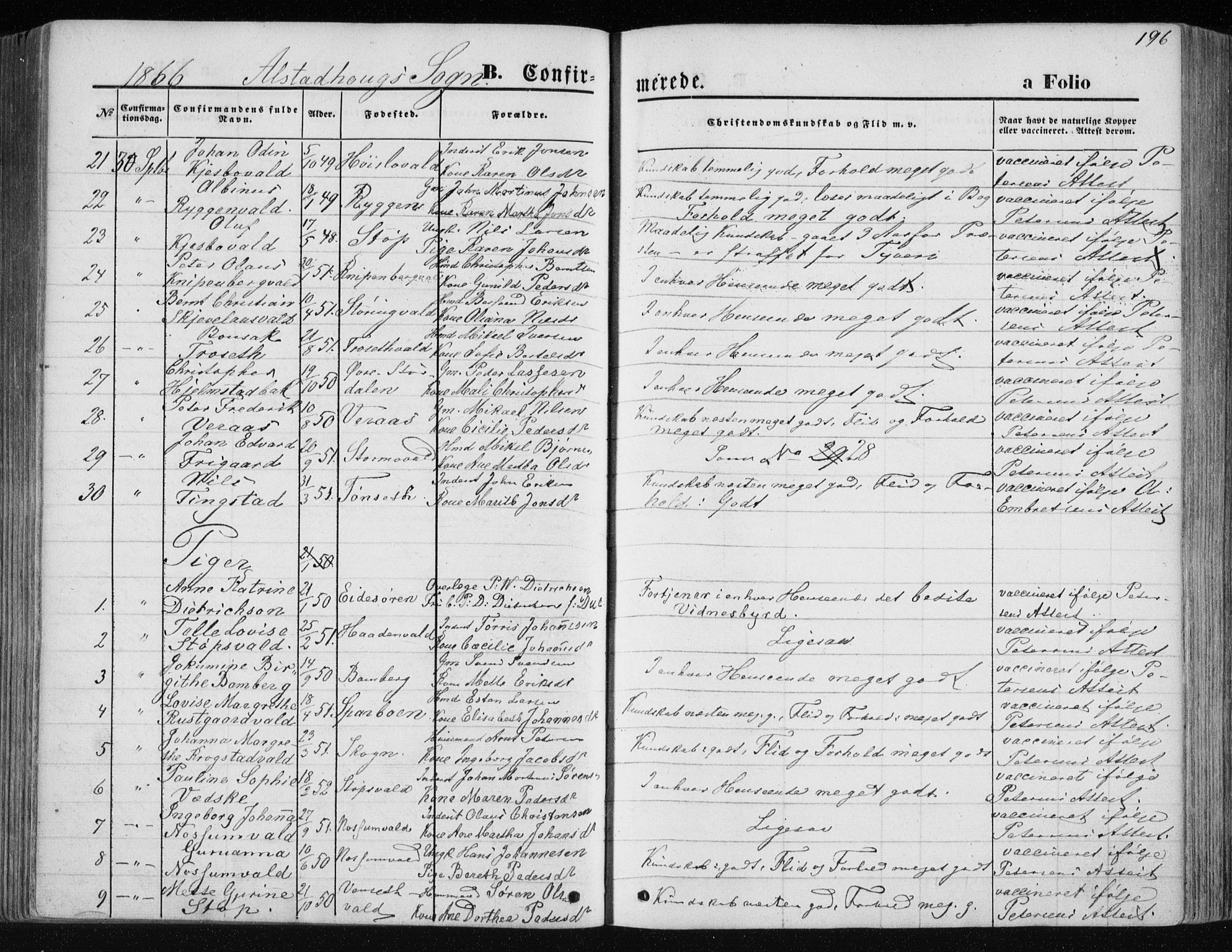 Ministerialprotokoller, klokkerbøker og fødselsregistre - Nord-Trøndelag, SAT/A-1458/717/L0157: Ministerialbok nr. 717A08 /1, 1863-1877, s. 196