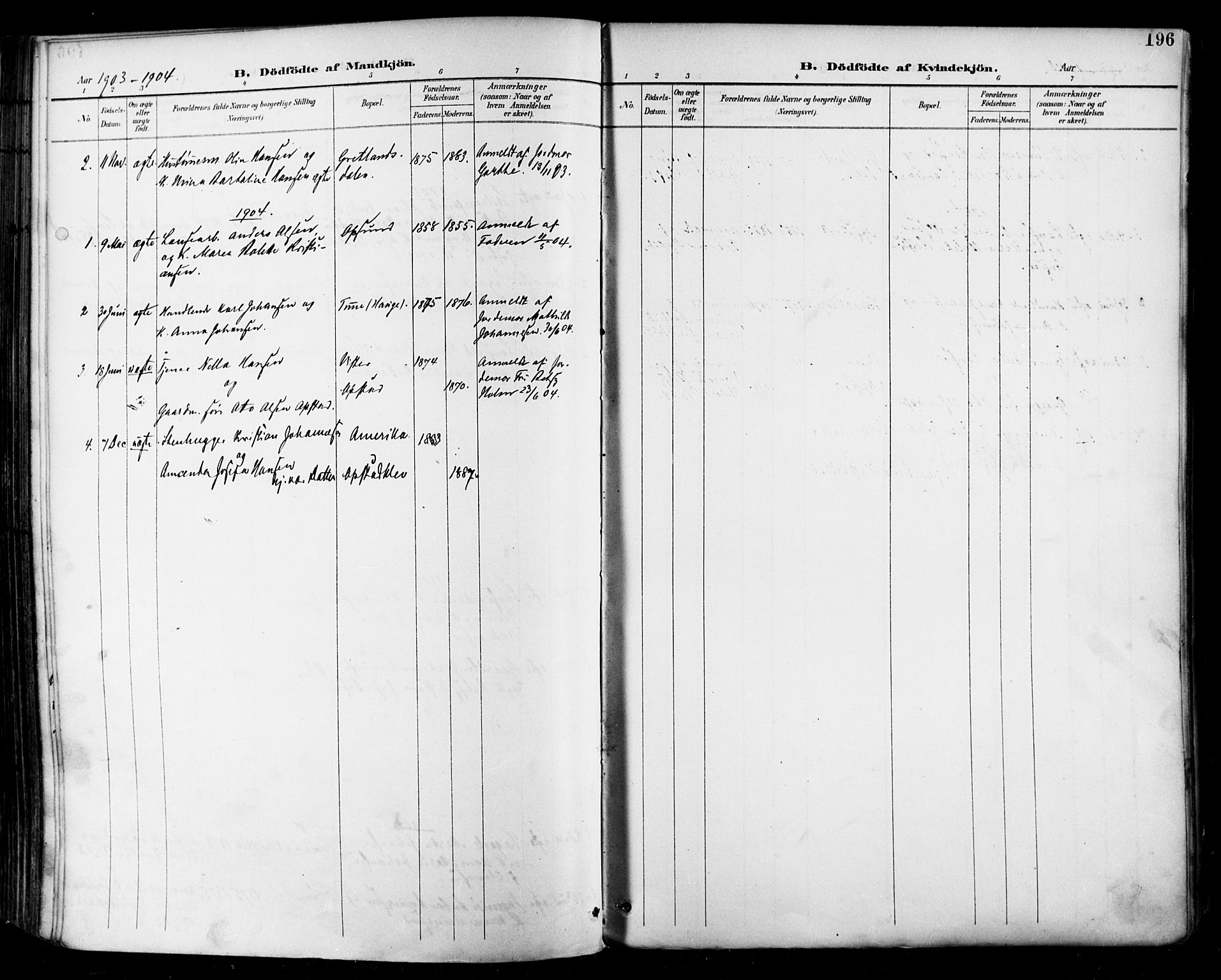 Tune prestekontor Kirkebøker, AV/SAO-A-2007/F/Fa/L0019: Ministerialbok nr. 19, 1898-1904, s. 196