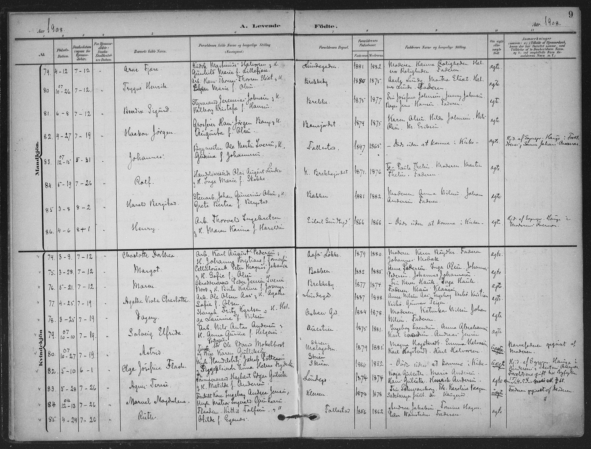 Skien kirkebøker, AV/SAKO-A-302/F/Fa/L0012: Ministerialbok nr. 12, 1908-1914, s. 9