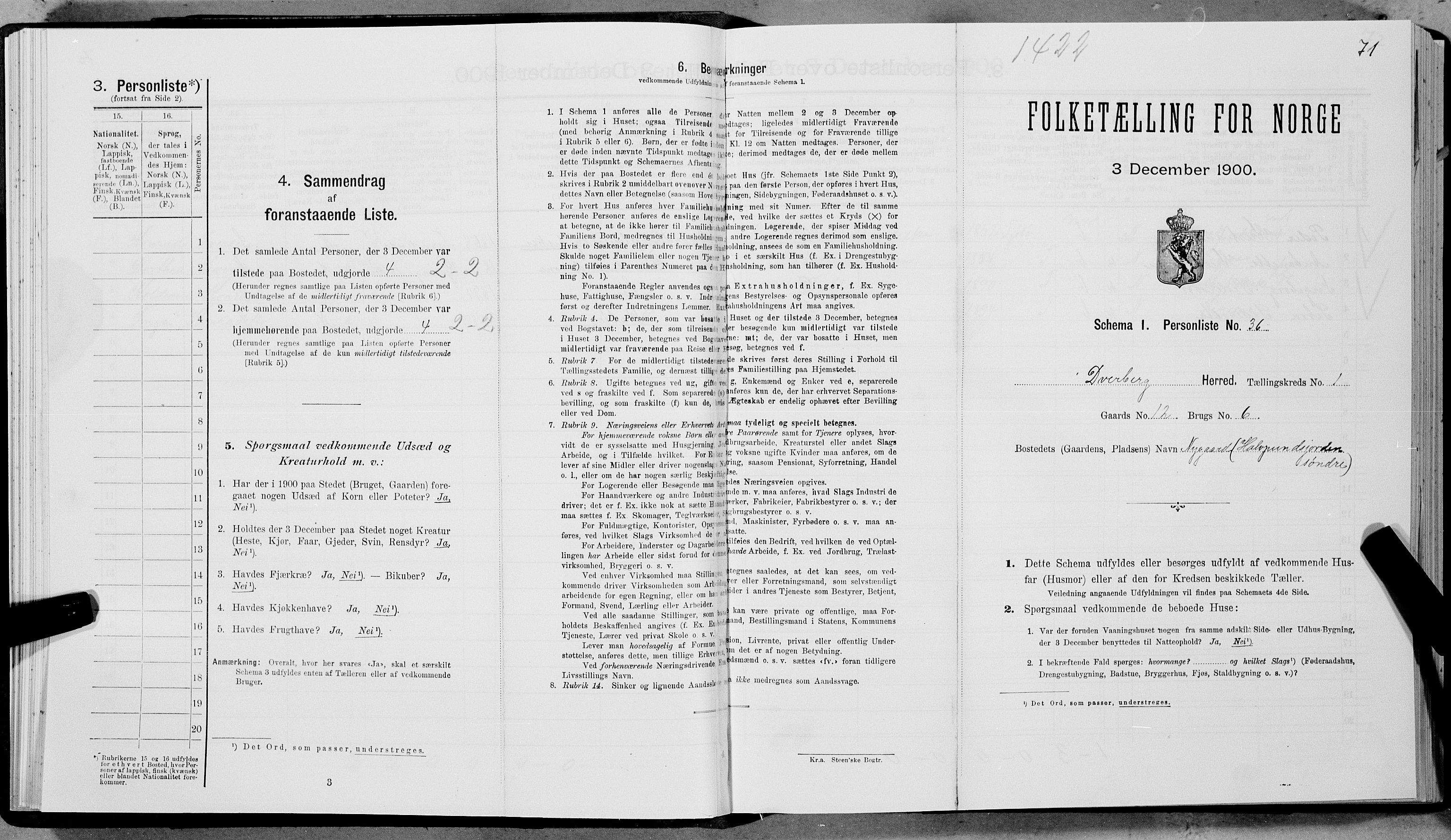 SAT, Folketelling 1900 for 1872 Dverberg herred, 1900, s. 102