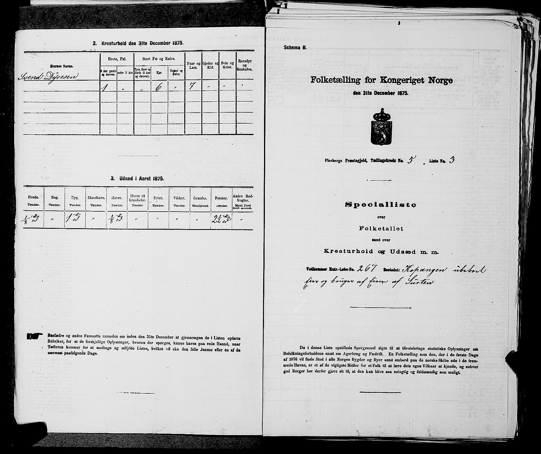 SAKO, Folketelling 1875 for 0631P Flesberg prestegjeld, 1875, s. 886