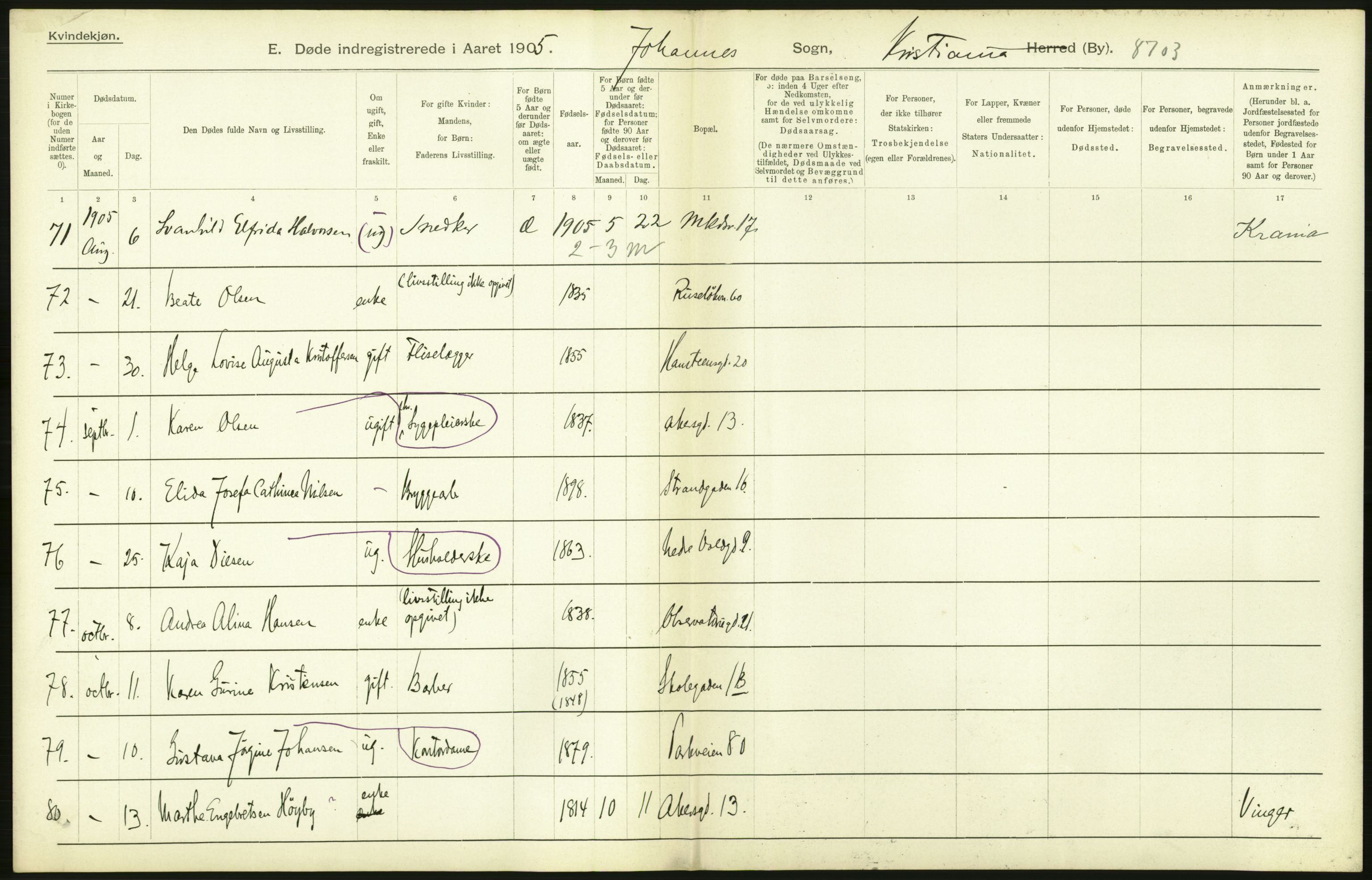 Statistisk sentralbyrå, Sosiodemografiske emner, Befolkning, AV/RA-S-2228/D/Df/Dfa/Dfac/L0007a: Kristiania: Døde, dødfødte., 1905, s. 530