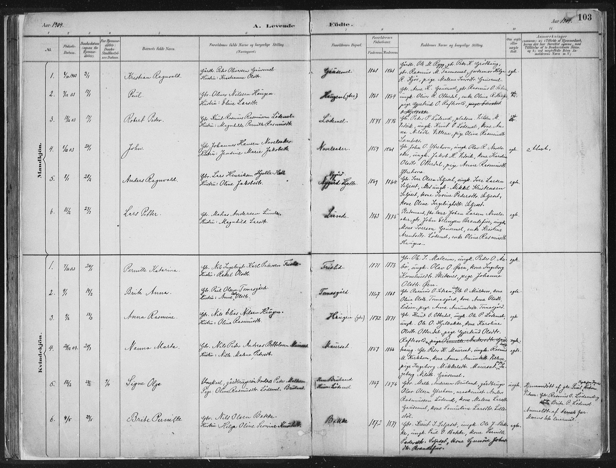 Hornindal sokneprestembete, AV/SAB-A-82401/H/Haa/Haaa/L0003/0001: Ministerialbok nr. A 3A, 1887-1917, s. 103