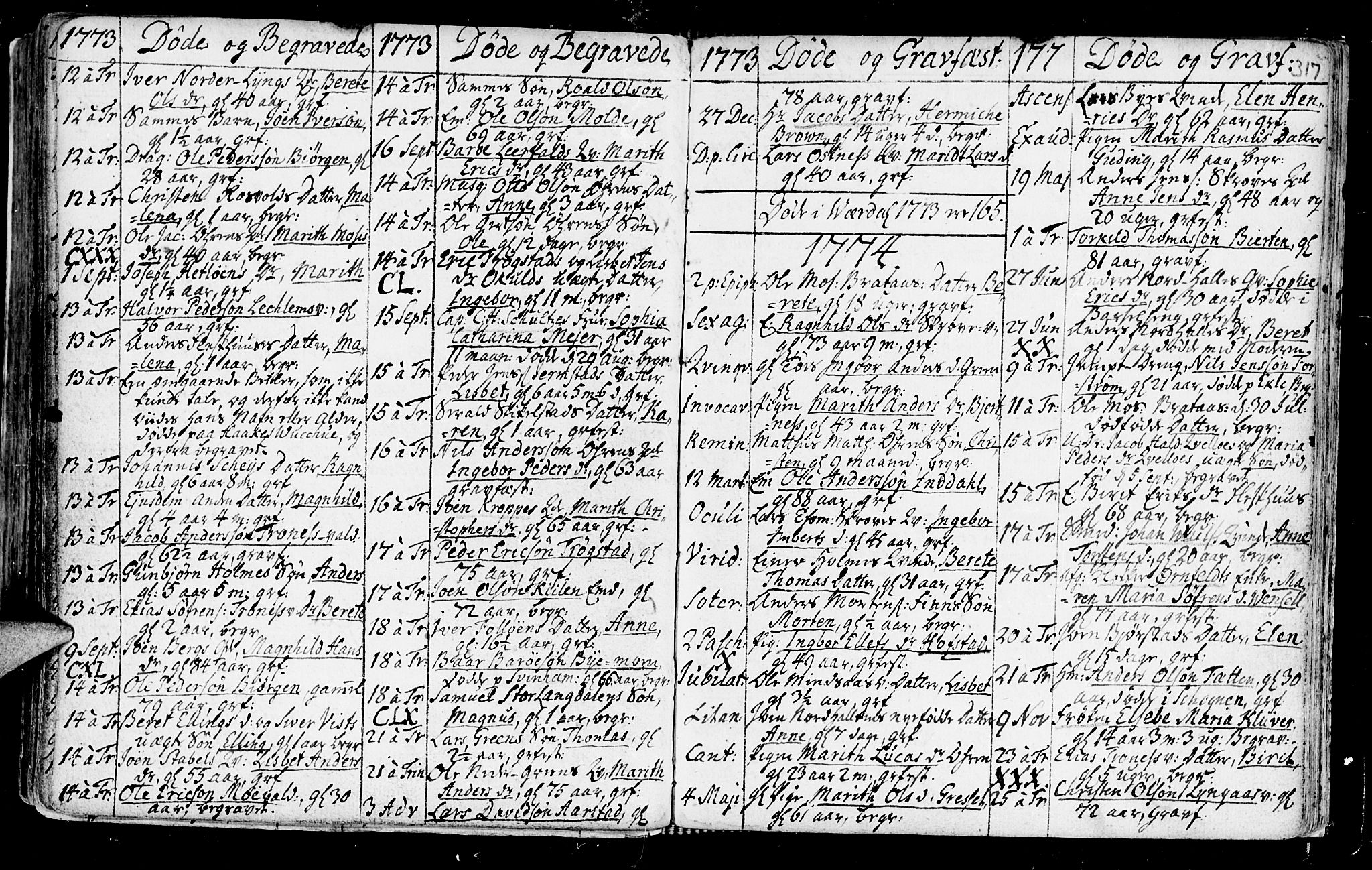 Ministerialprotokoller, klokkerbøker og fødselsregistre - Nord-Trøndelag, AV/SAT-A-1458/723/L0231: Ministerialbok nr. 723A02, 1748-1780, s. 317