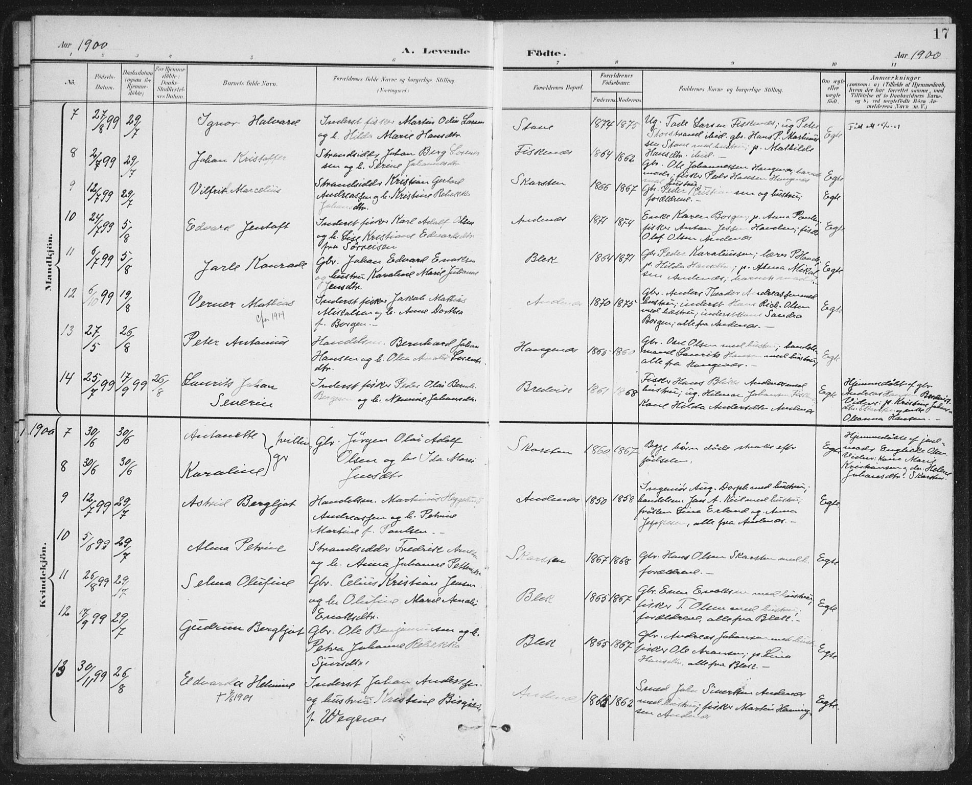 Ministerialprotokoller, klokkerbøker og fødselsregistre - Nordland, SAT/A-1459/899/L1437: Ministerialbok nr. 899A05, 1897-1908, s. 17