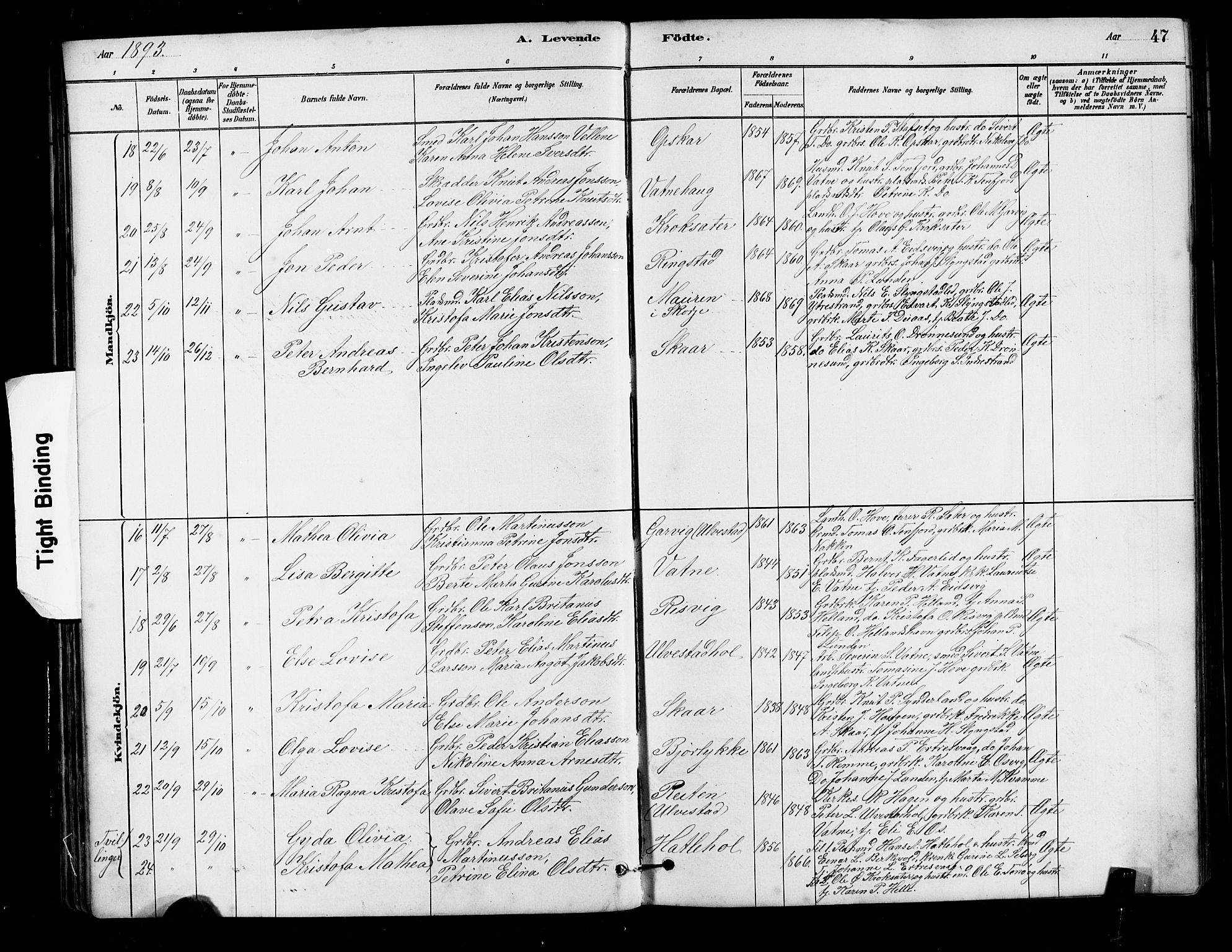 Ministerialprotokoller, klokkerbøker og fødselsregistre - Møre og Romsdal, SAT/A-1454/525/L0376: Klokkerbok nr. 525C02, 1880-1902, s. 47