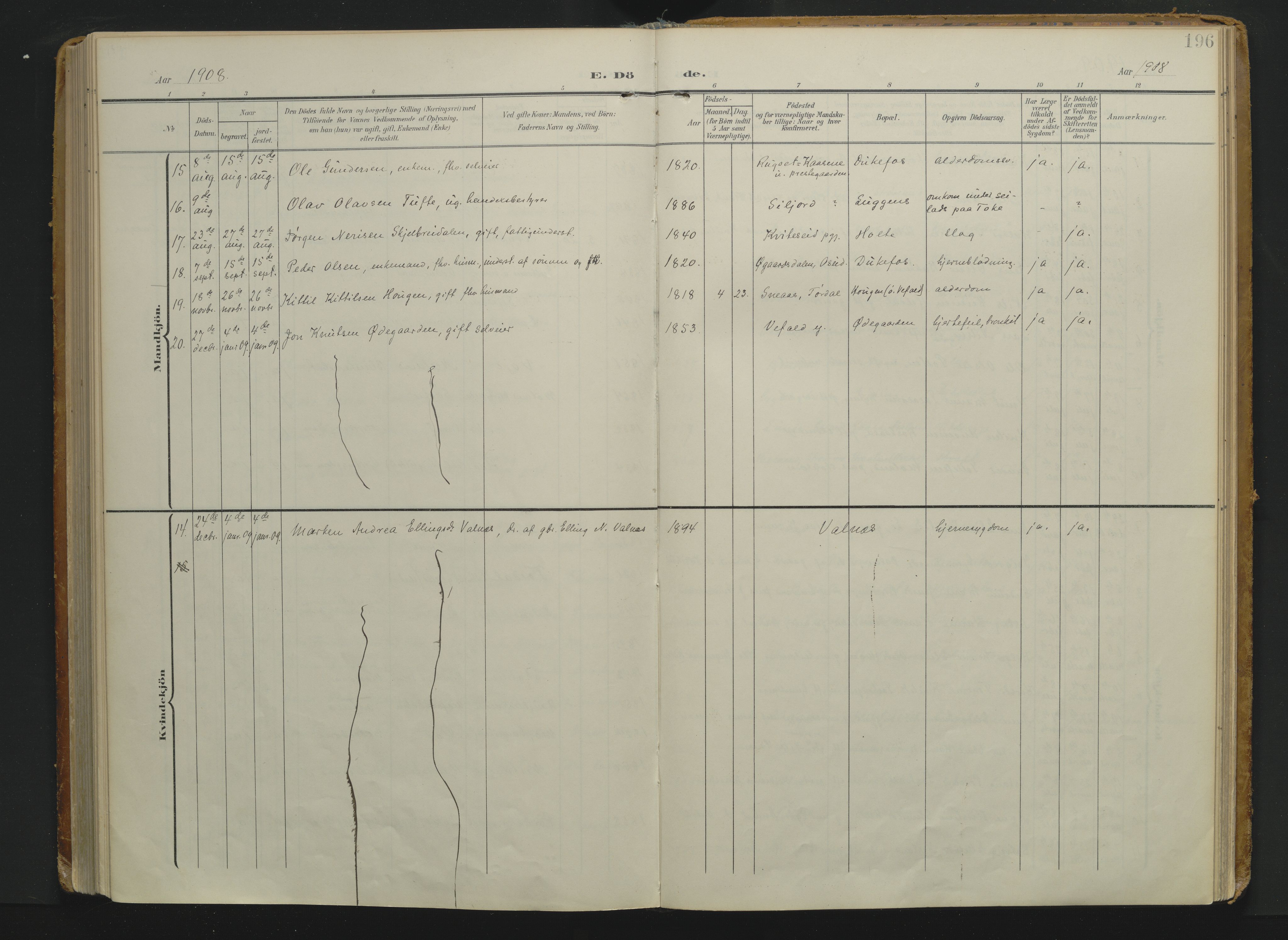 Drangedal kirkebøker, AV/SAKO-A-258/F/Fa/L0014: Ministerialbok nr. 14, 1906-1920, s. 196