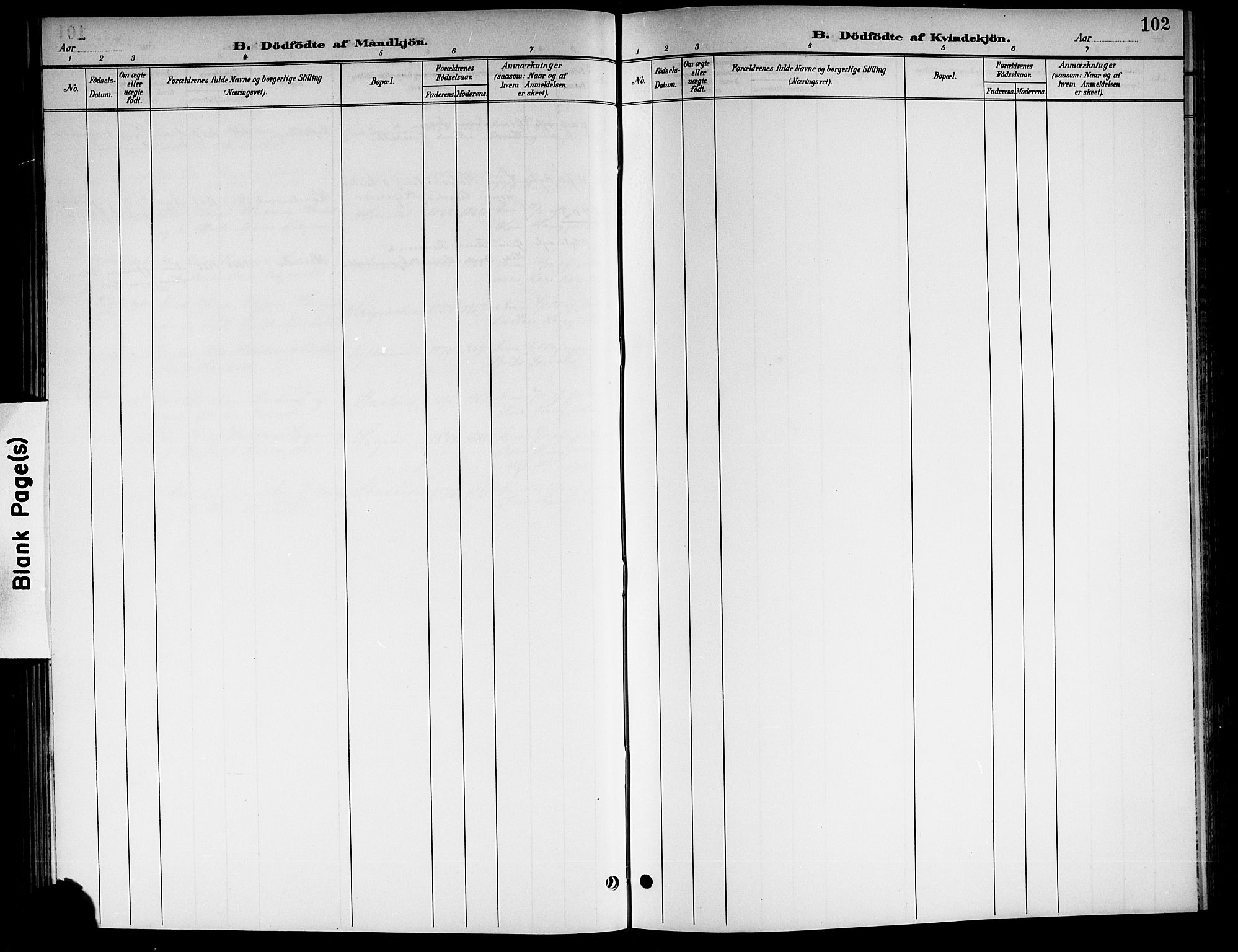 Nore kirkebøker, AV/SAKO-A-238/G/Gb/L0003: Klokkerbok nr. II 3, 1894-1923, s. 102