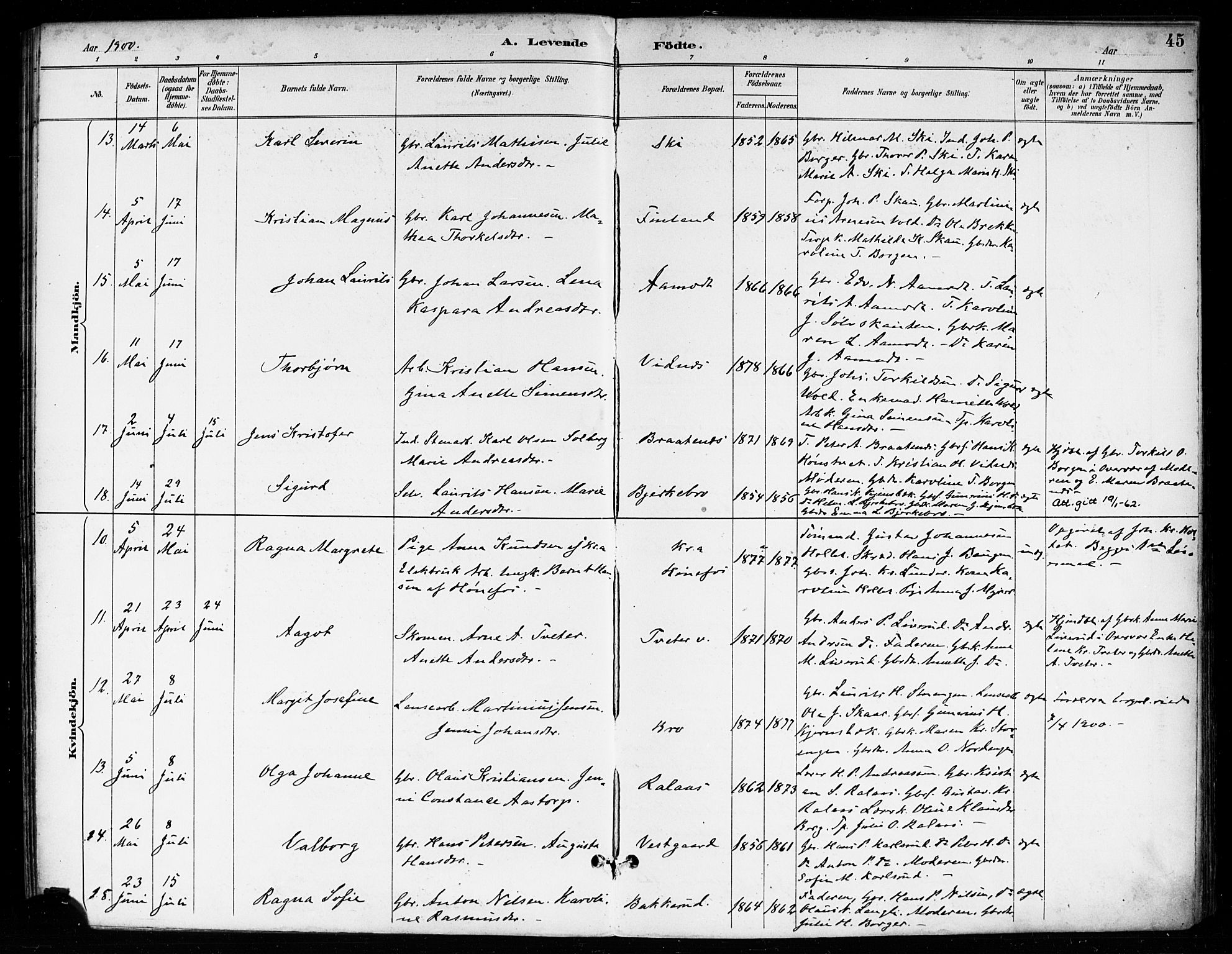 Skiptvet prestekontor Kirkebøker, AV/SAO-A-20009/F/Fa/L0010: Ministerialbok nr. 10, 1890-1900, s. 45