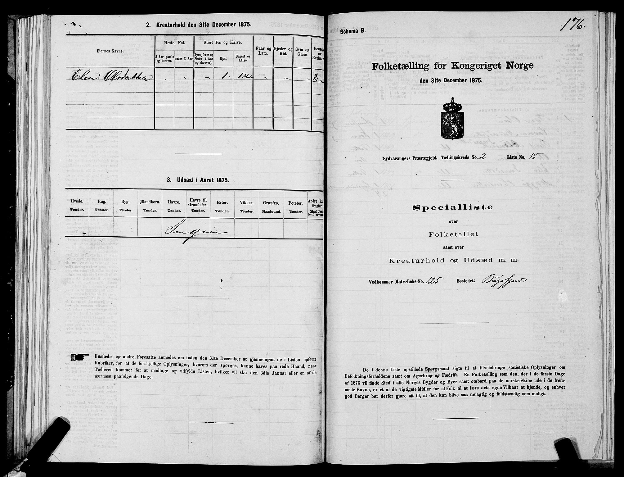 SATØ, Folketelling 1875 for 2030P Sør-Varanger prestegjeld, 1875, s. 1176