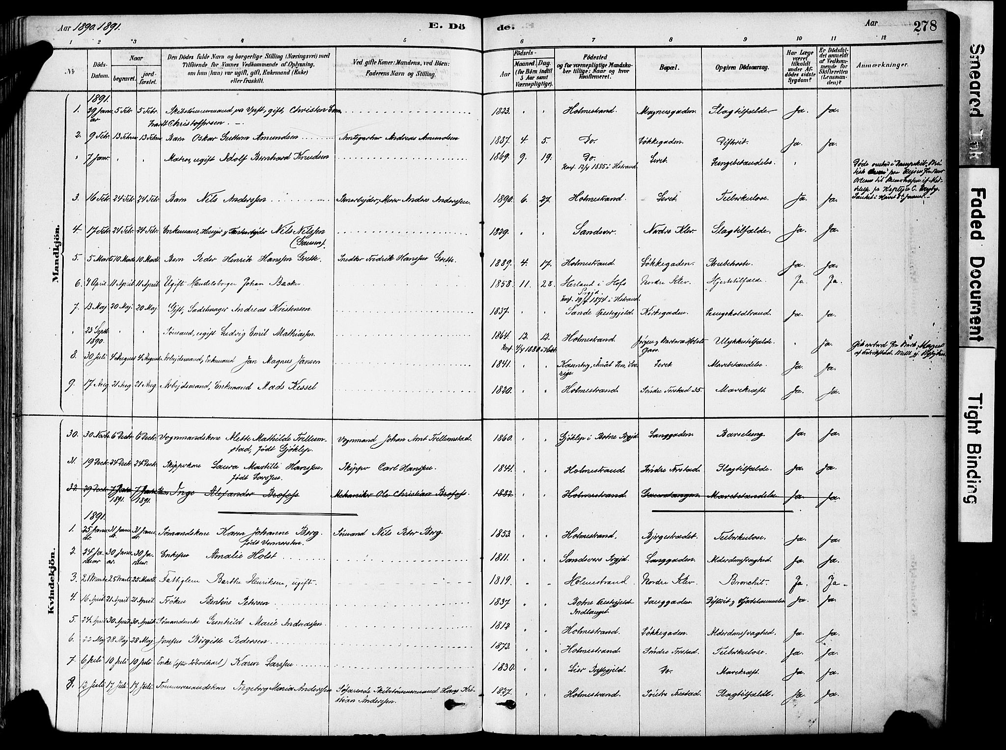 Holmestrand kirkebøker, SAKO/A-346/F/Fa/L0004: Ministerialbok nr. 4, 1880-1901, s. 278