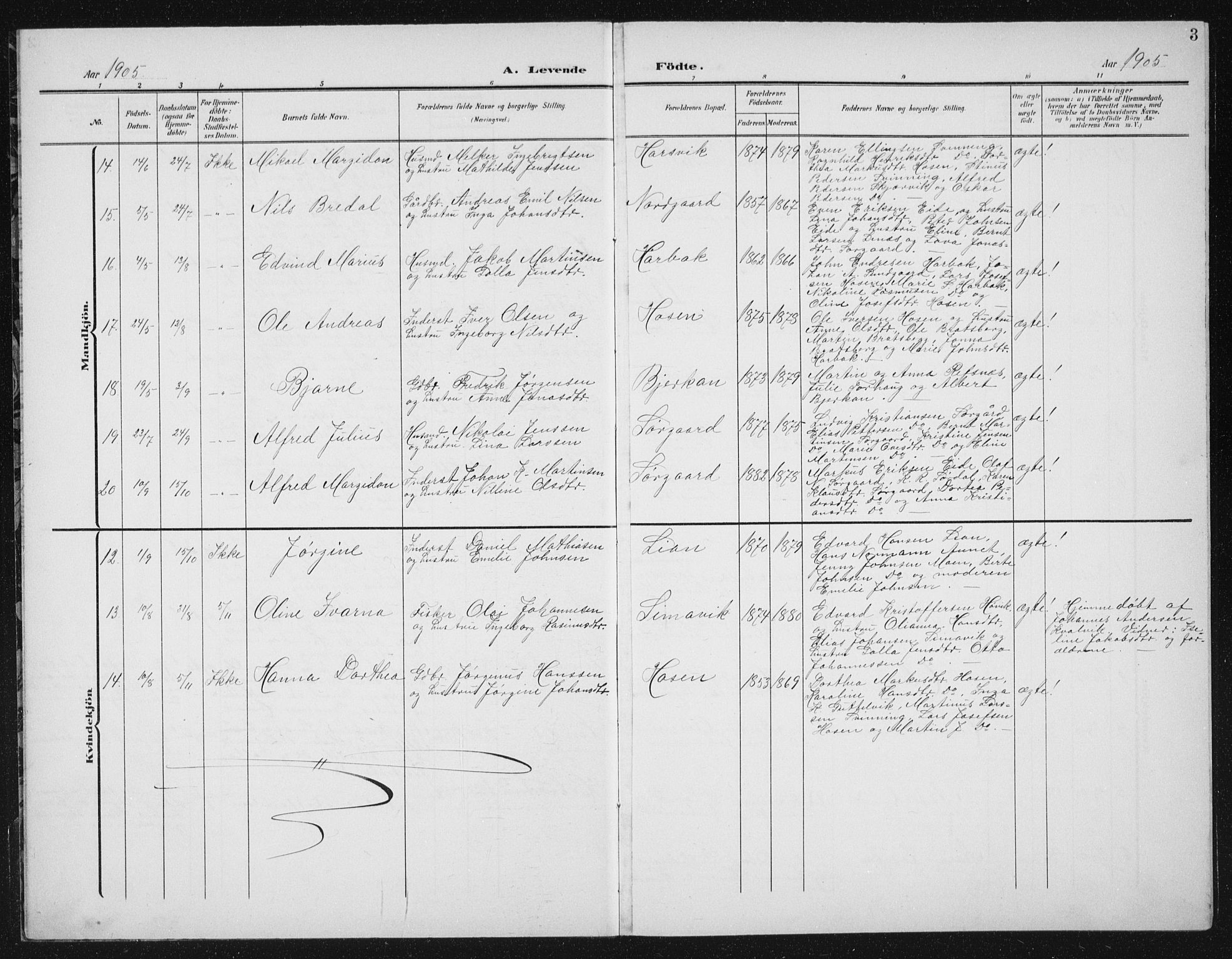 Ministerialprotokoller, klokkerbøker og fødselsregistre - Sør-Trøndelag, SAT/A-1456/656/L0699: Klokkerbok nr. 656C05, 1905-1920, s. 3