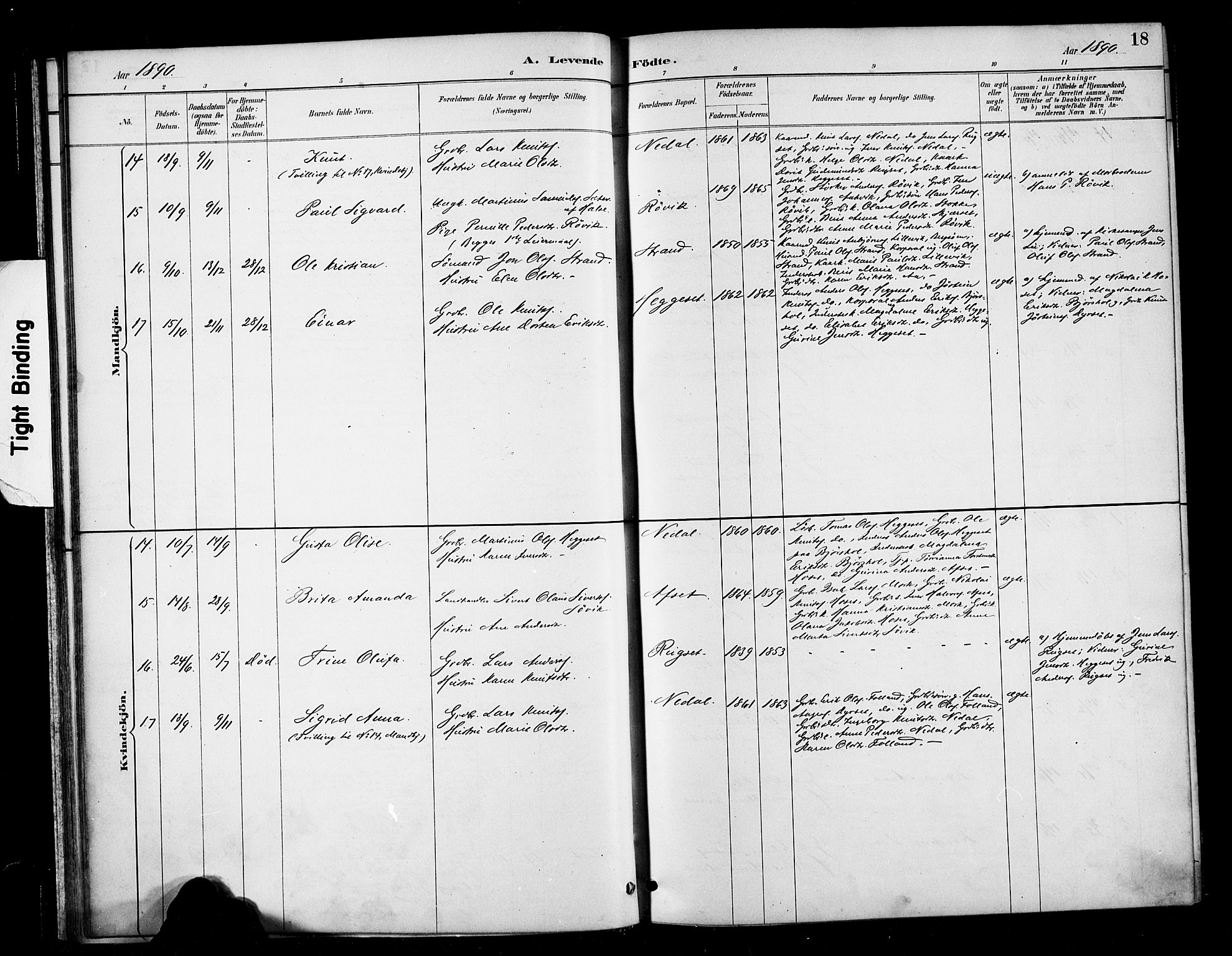 Ministerialprotokoller, klokkerbøker og fødselsregistre - Møre og Romsdal, SAT/A-1454/568/L0809: Ministerialbok nr. 568A13, 1884-1900, s. 18