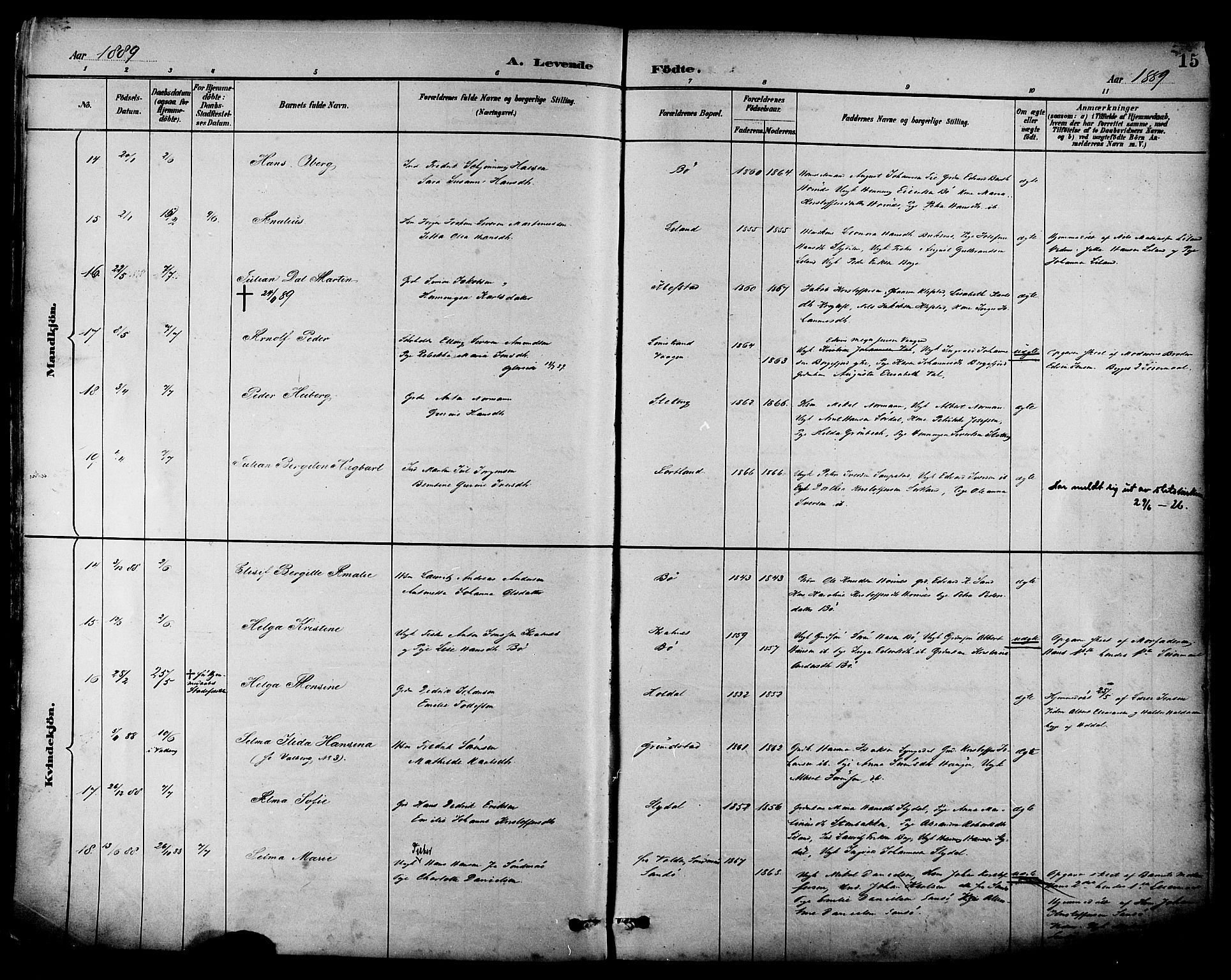 Ministerialprotokoller, klokkerbøker og fødselsregistre - Nordland, SAT/A-1459/880/L1133: Ministerialbok nr. 880A07, 1888-1898, s. 15