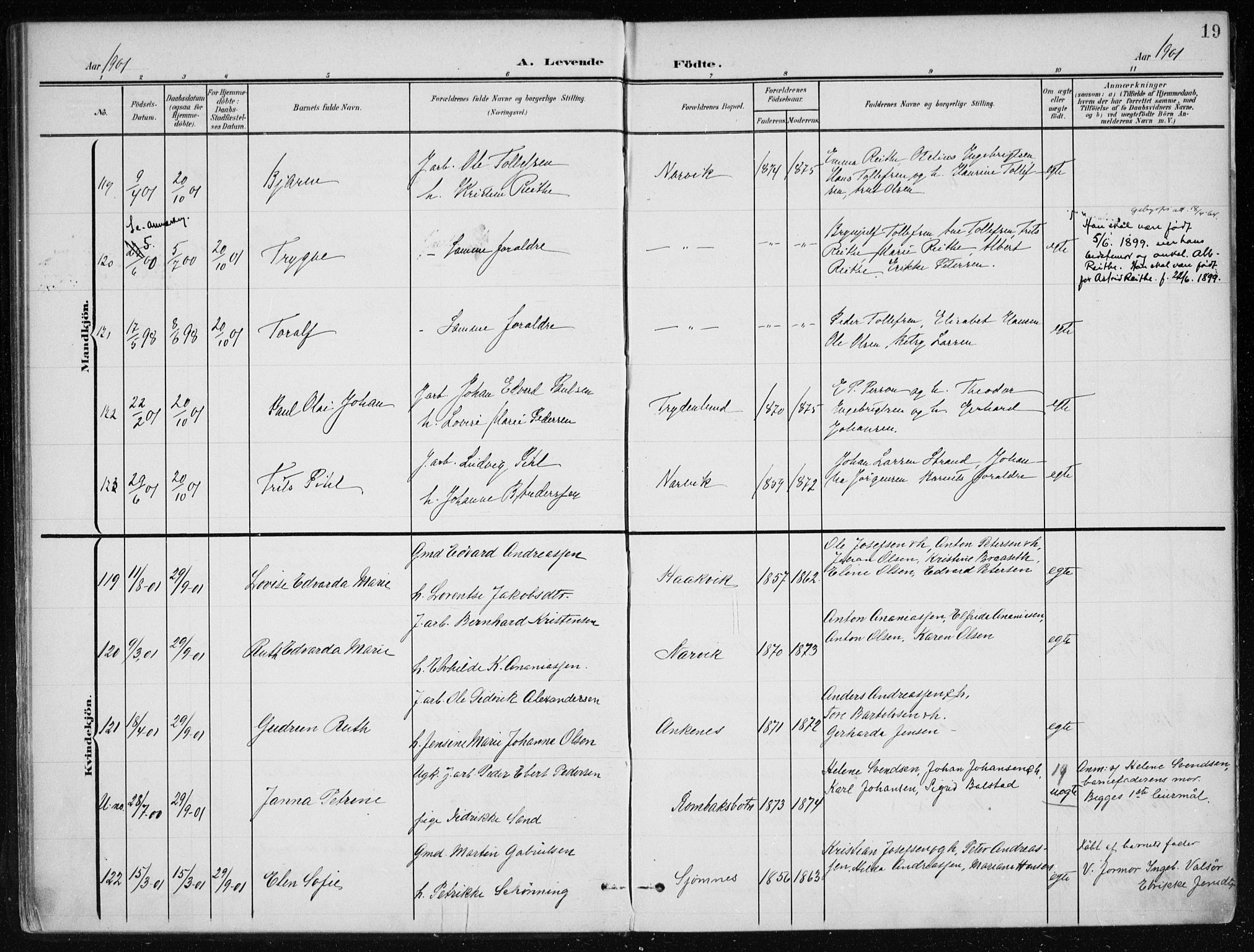 Ministerialprotokoller, klokkerbøker og fødselsregistre - Nordland, AV/SAT-A-1459/866/L0941: Ministerialbok nr. 866A04, 1901-1917, s. 19