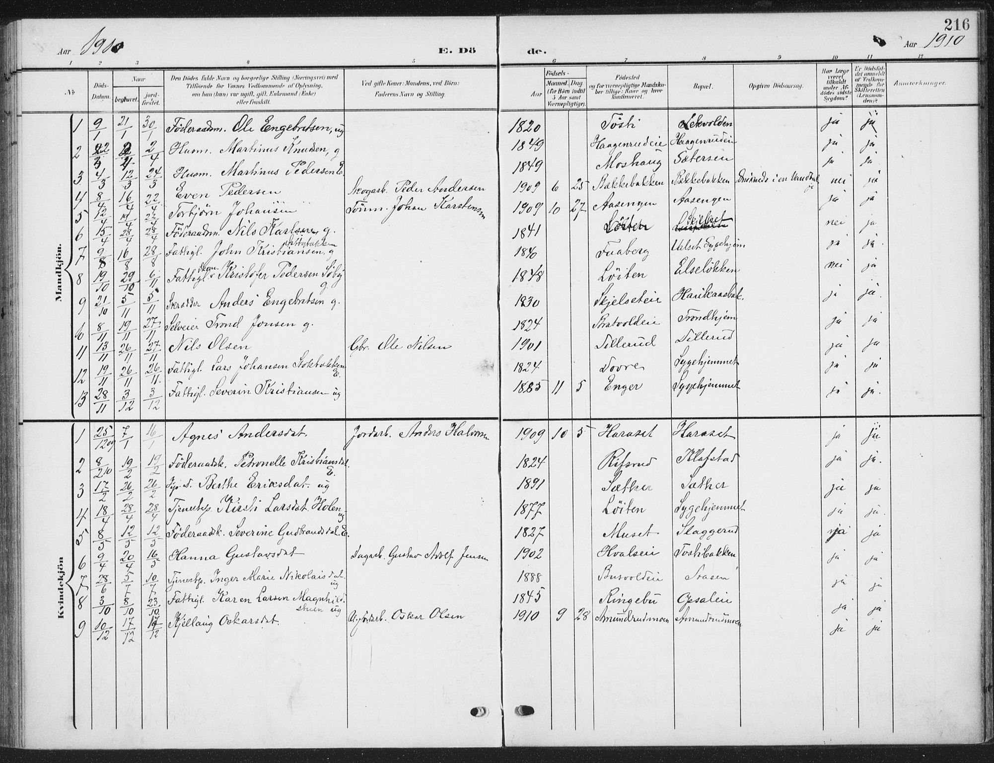 Romedal prestekontor, AV/SAH-PREST-004/K/L0009: Ministerialbok nr. 9, 1906-1929, s. 216