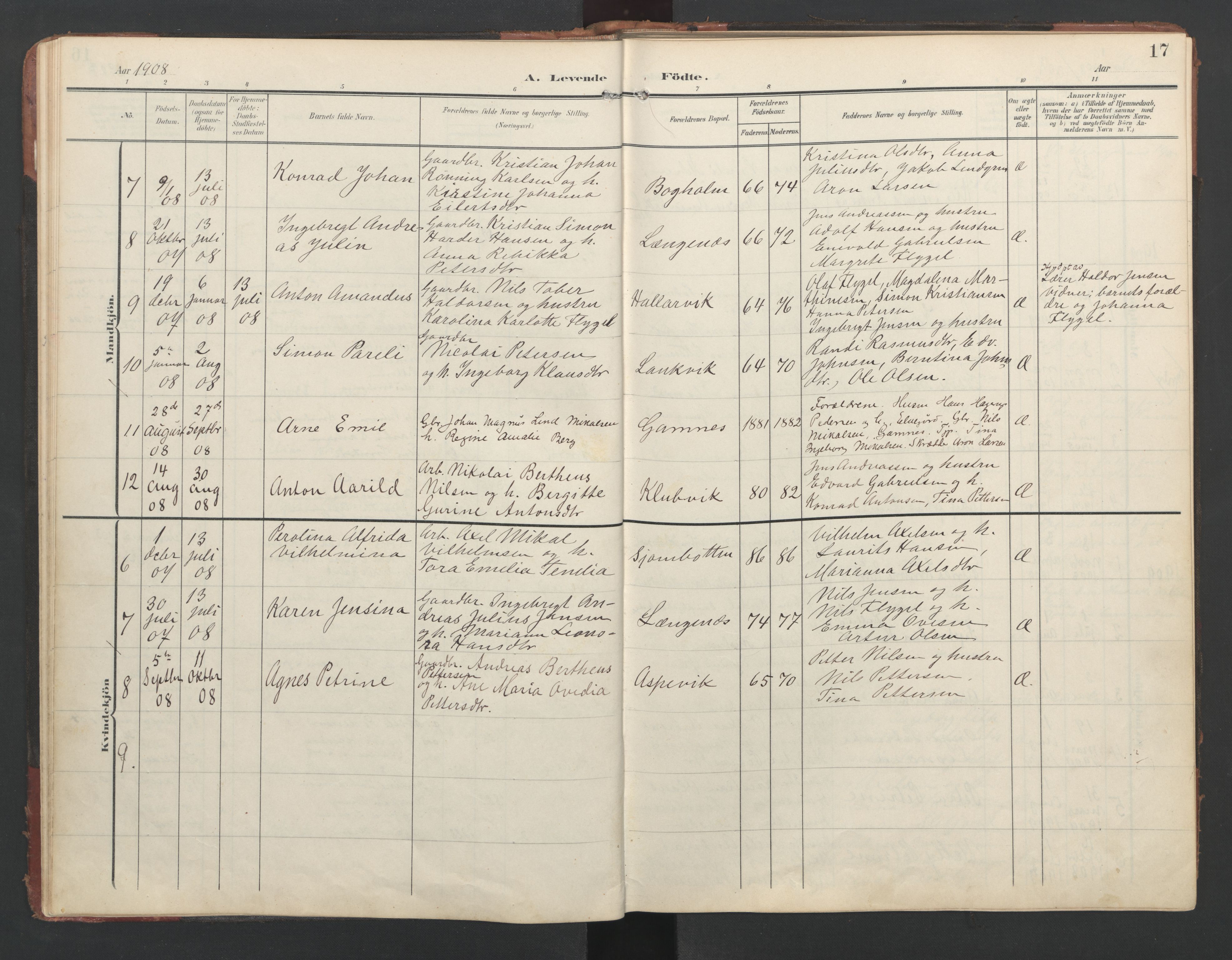 Ministerialprotokoller, klokkerbøker og fødselsregistre - Nordland, AV/SAT-A-1459/867/L0966: Klokkerbok nr. 867C01, 1904-1952, s. 17