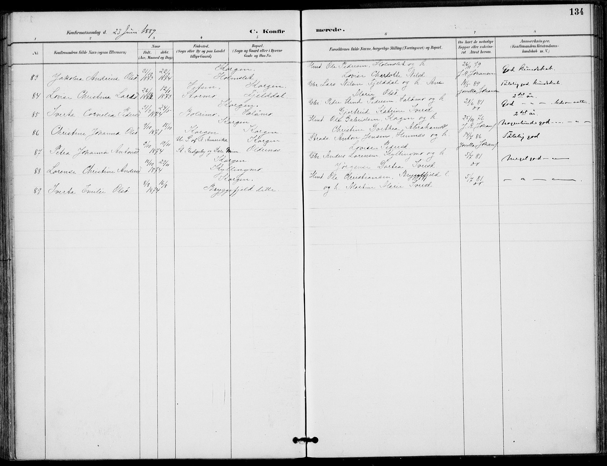 Ministerialprotokoller, klokkerbøker og fødselsregistre - Nordland, AV/SAT-A-1459/825/L0362: Ministerialbok nr. 825A16, 1886-1908, s. 134