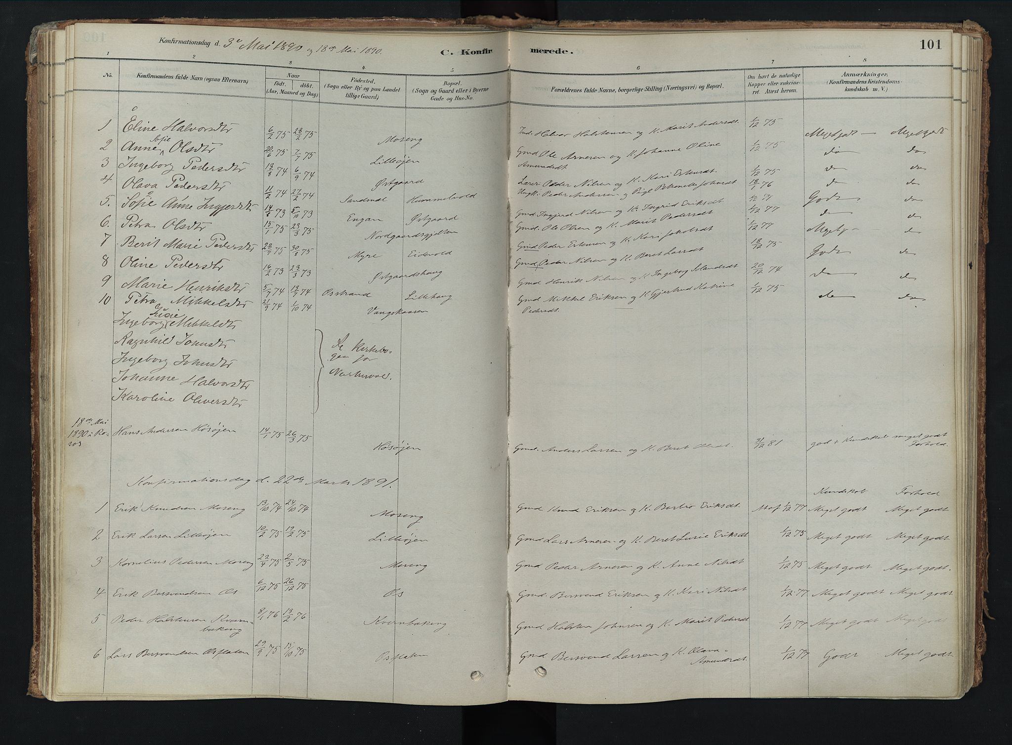 Tolga prestekontor, AV/SAH-PREST-062/K/L0008: Ministerialbok nr. 8, 1877-1910, s. 101