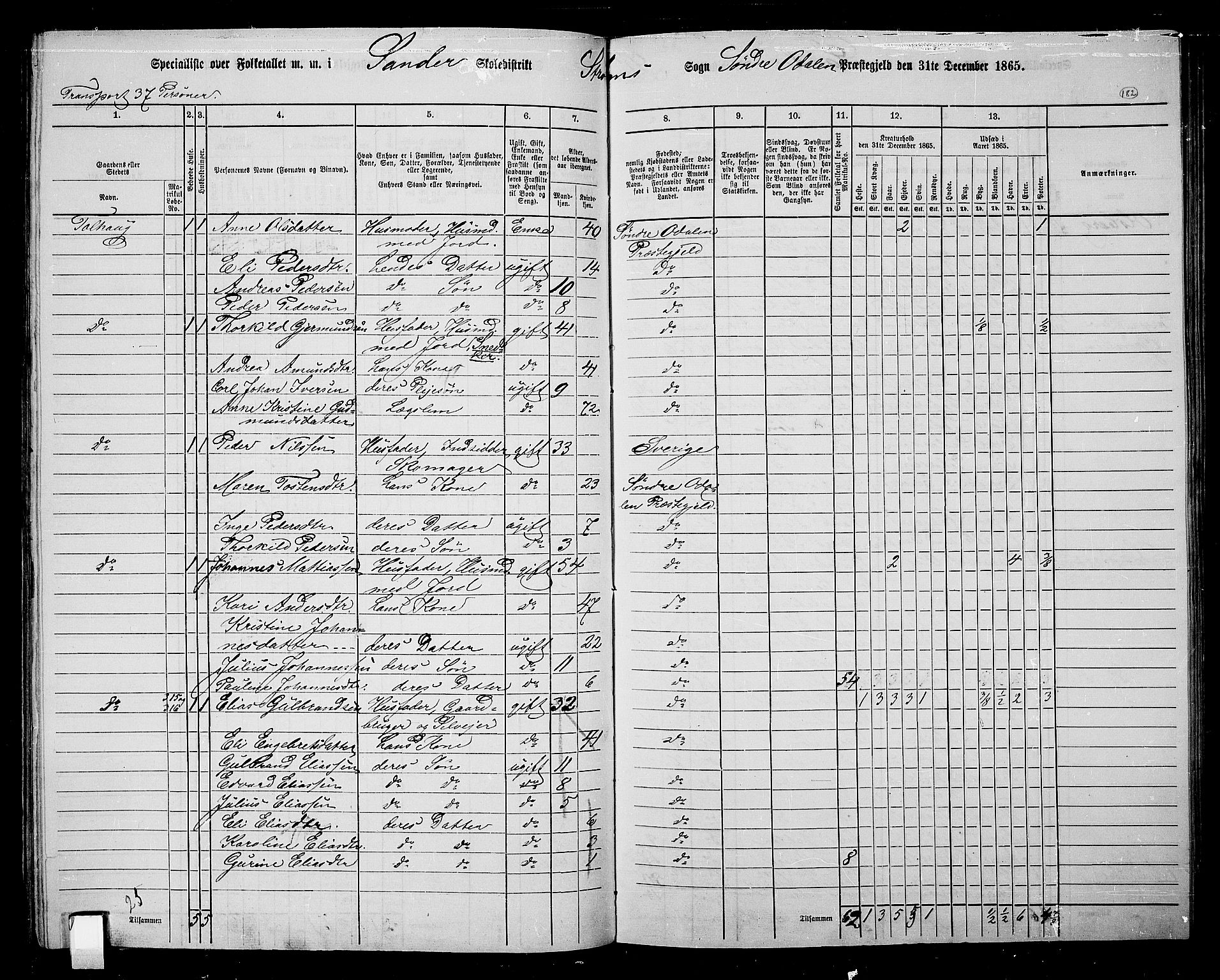 RA, Folketelling 1865 for 0419P Sør-Odal prestegjeld, 1865, s. 162