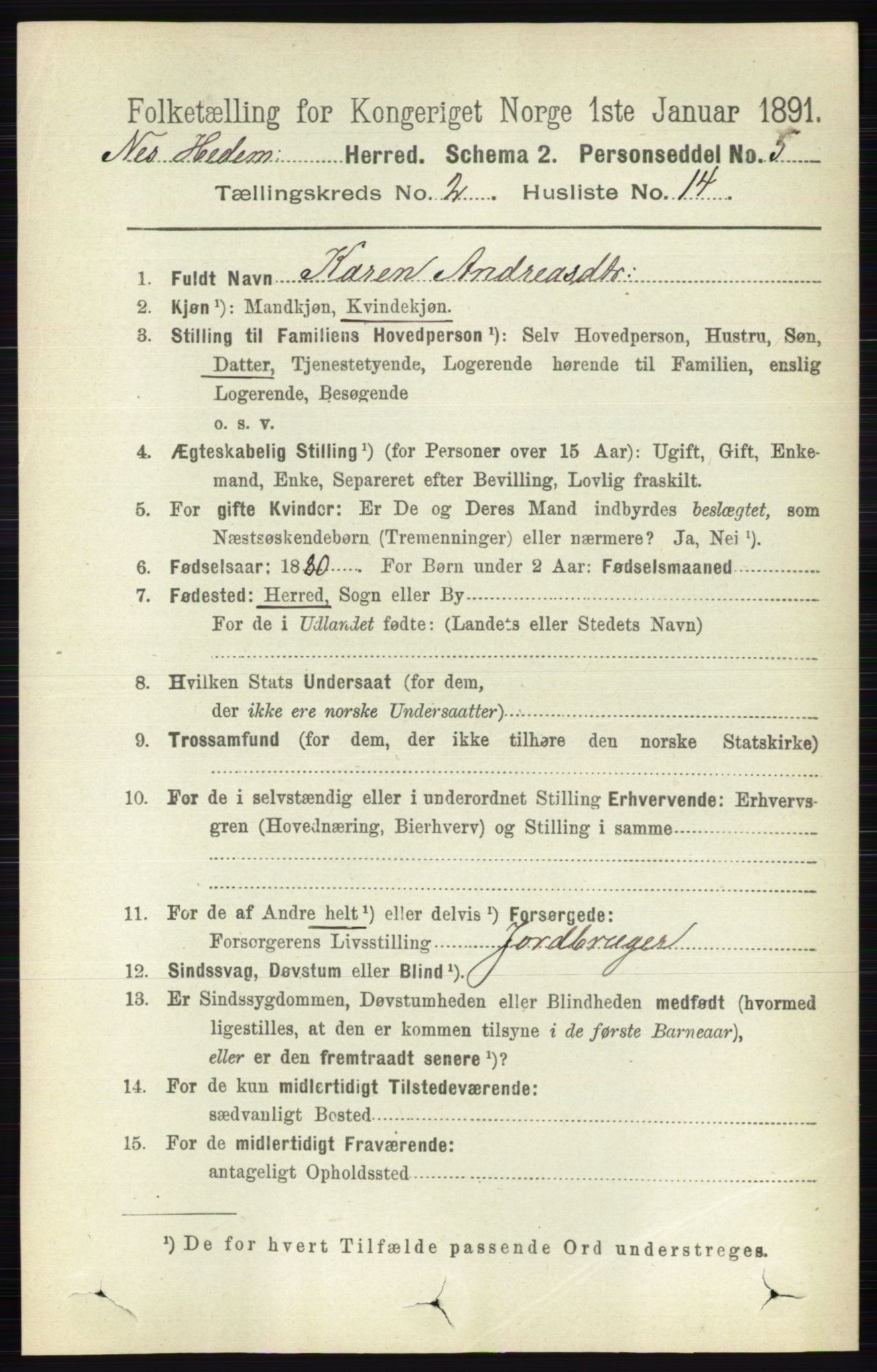 RA, Folketelling 1891 for 0411 Nes herred, 1891, s. 1155