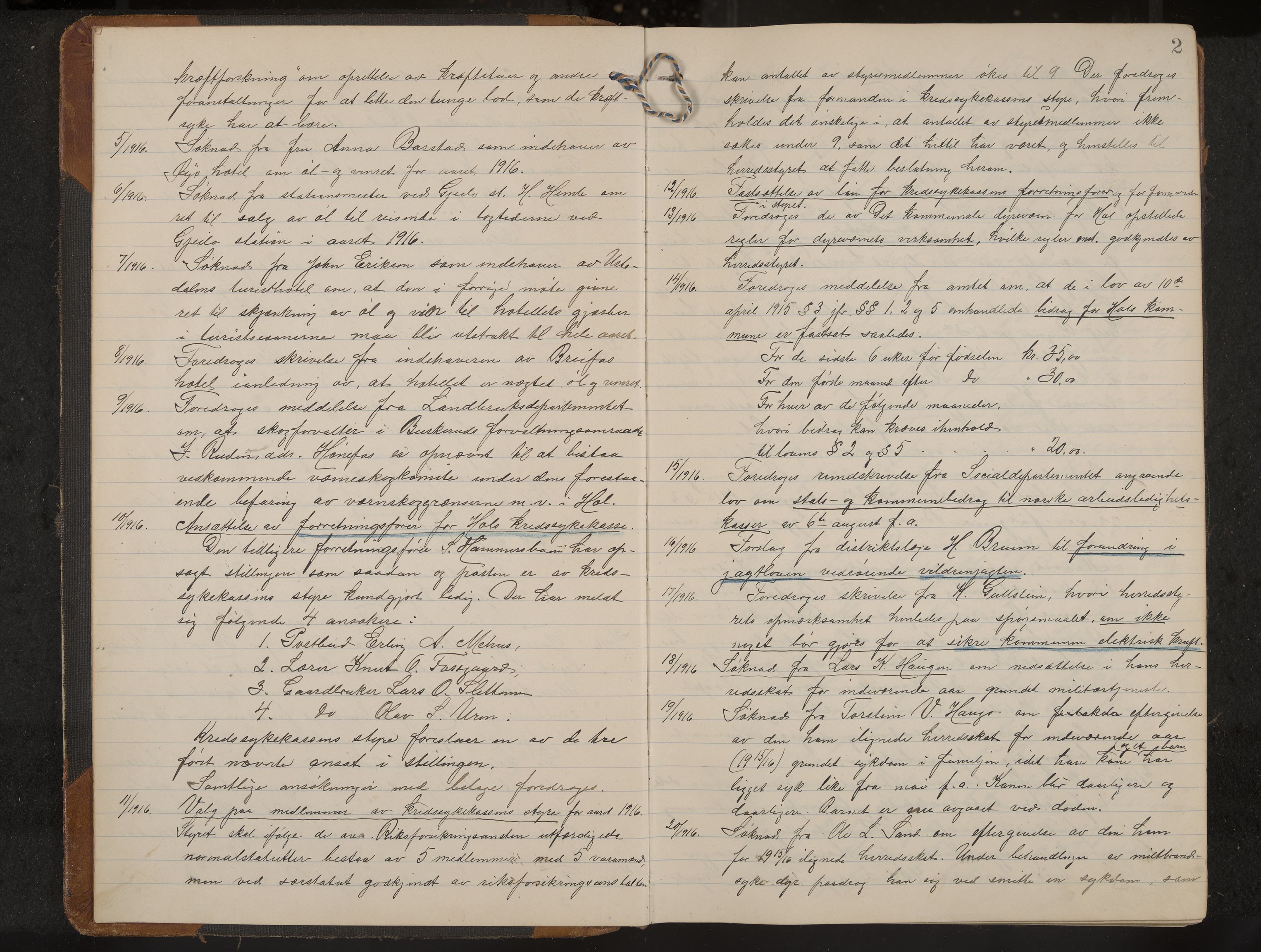 Hol formannskap og sentraladministrasjon, IKAK/0620021-1/A/L0006: Møtebok, 1916-1922, s. 2