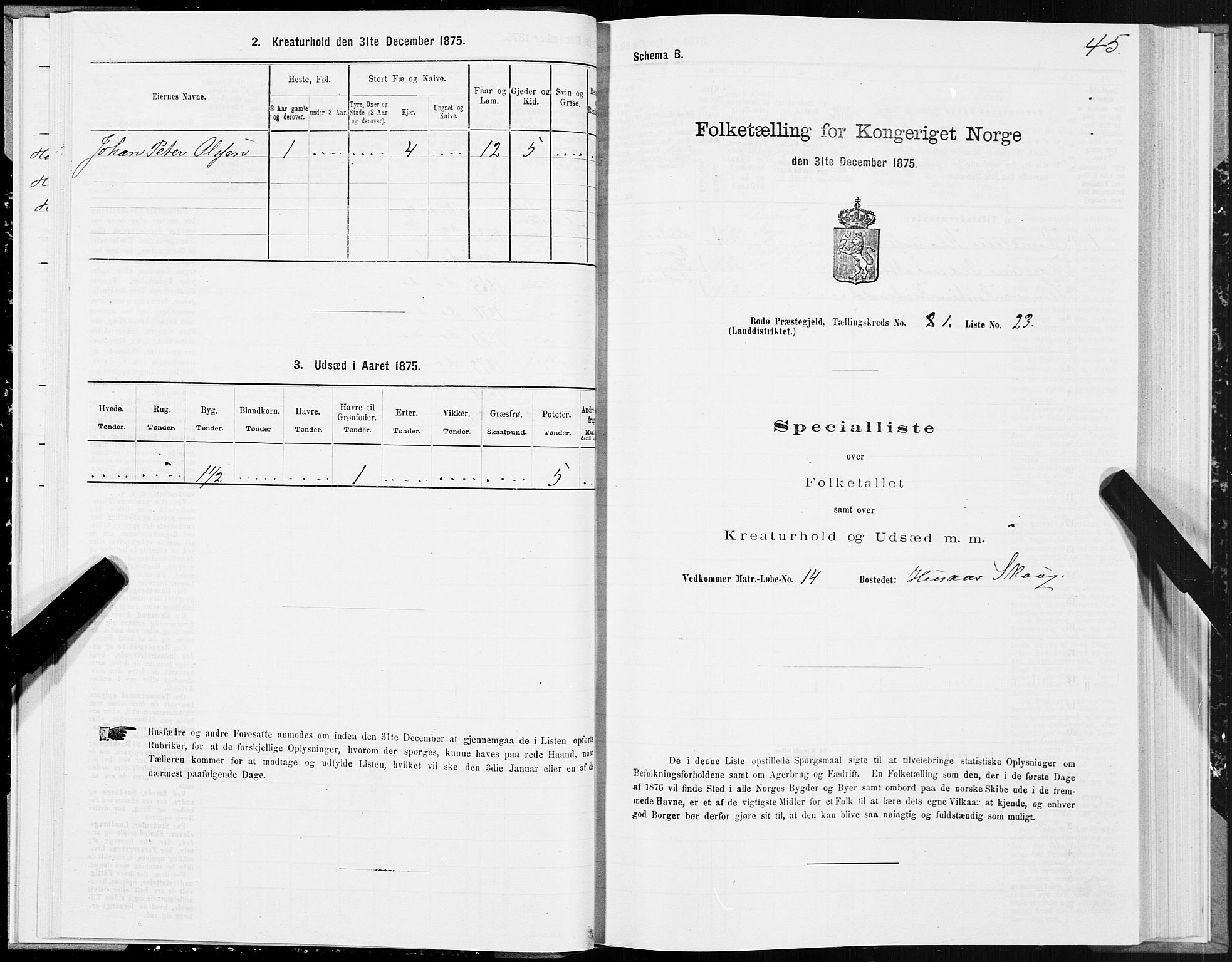 SAT, Folketelling 1875 for 1843L Bodø prestegjeld, Bodø landsokn, 1875, s. 1045