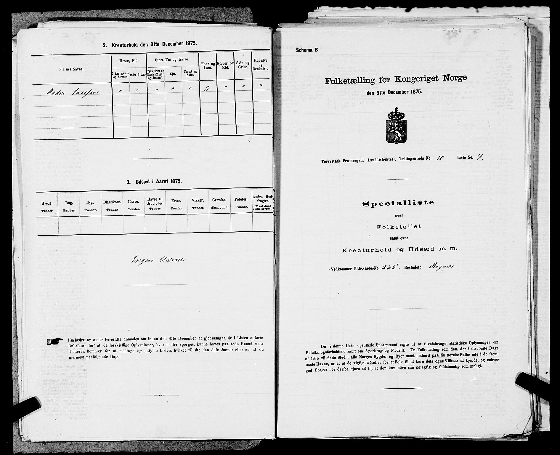 SAST, Folketelling 1875 for 1152L Torvastad prestegjeld, Torvastad sokn, Skåre sokn og Utsira sokn, 1875, s. 1253