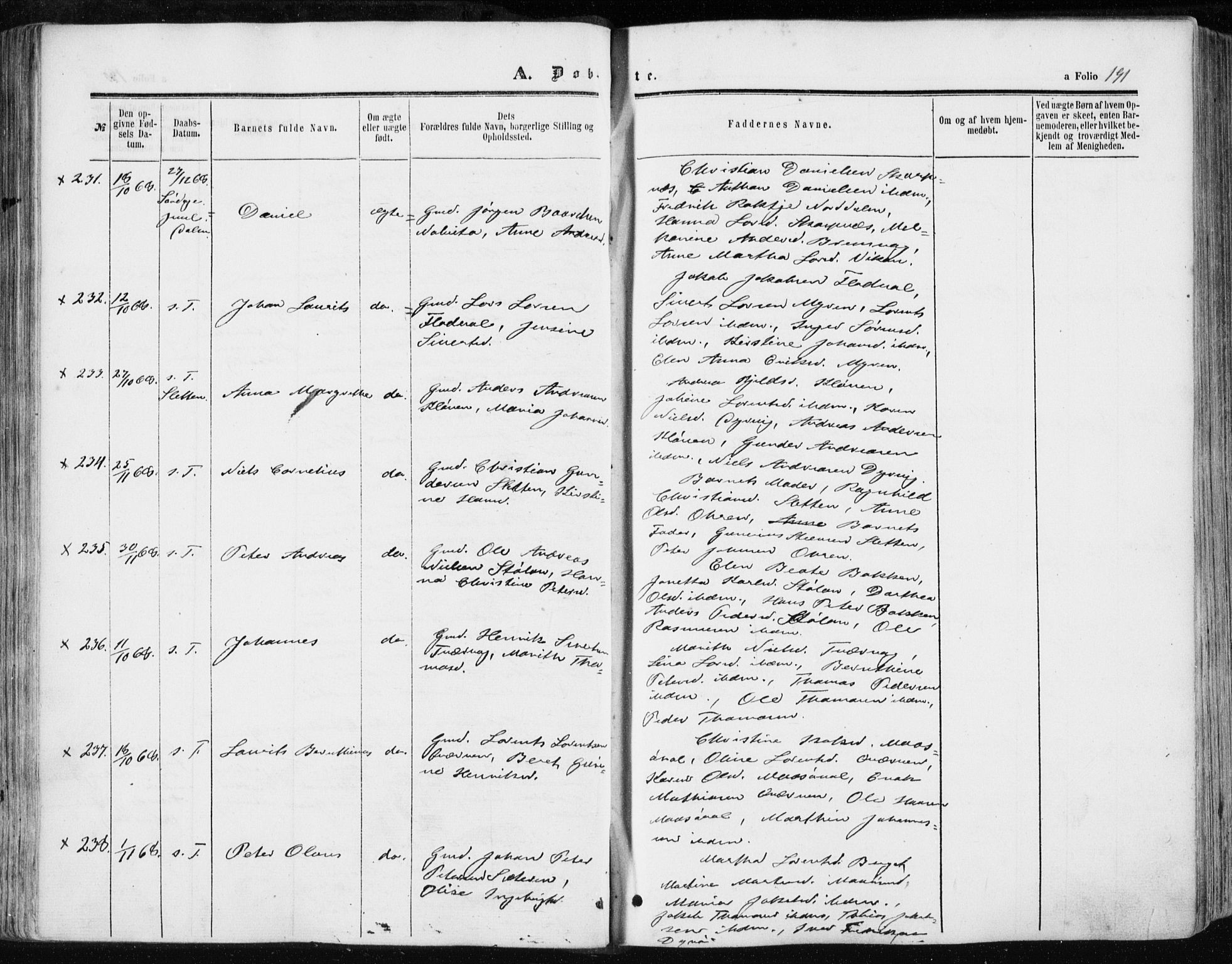 Ministerialprotokoller, klokkerbøker og fødselsregistre - Sør-Trøndelag, SAT/A-1456/634/L0531: Ministerialbok nr. 634A07, 1861-1870, s. 191