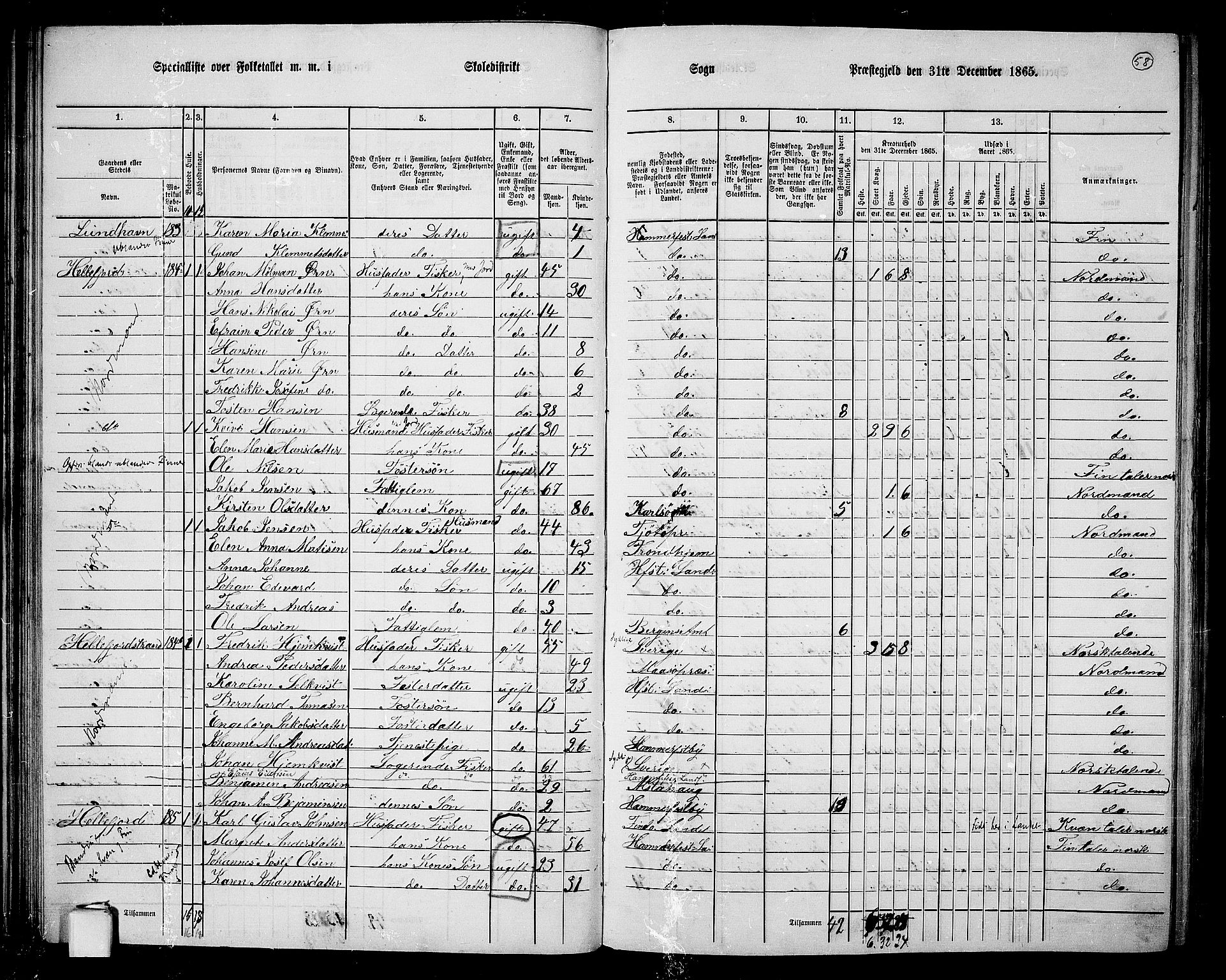 RA, Folketelling 1865 for 2016L Hammerfest prestegjeld, Hammerfest landsokn, 1865, s. 53