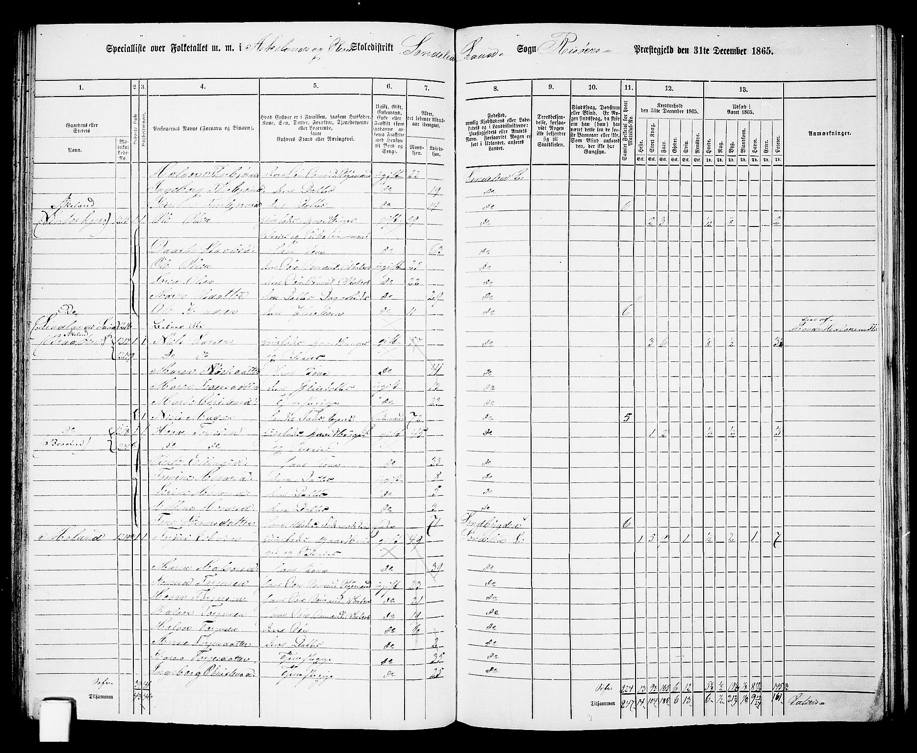 RA, Folketelling 1865 for 0913L Risør prestegjeld, Søndeled sokn, 1865, s. 76