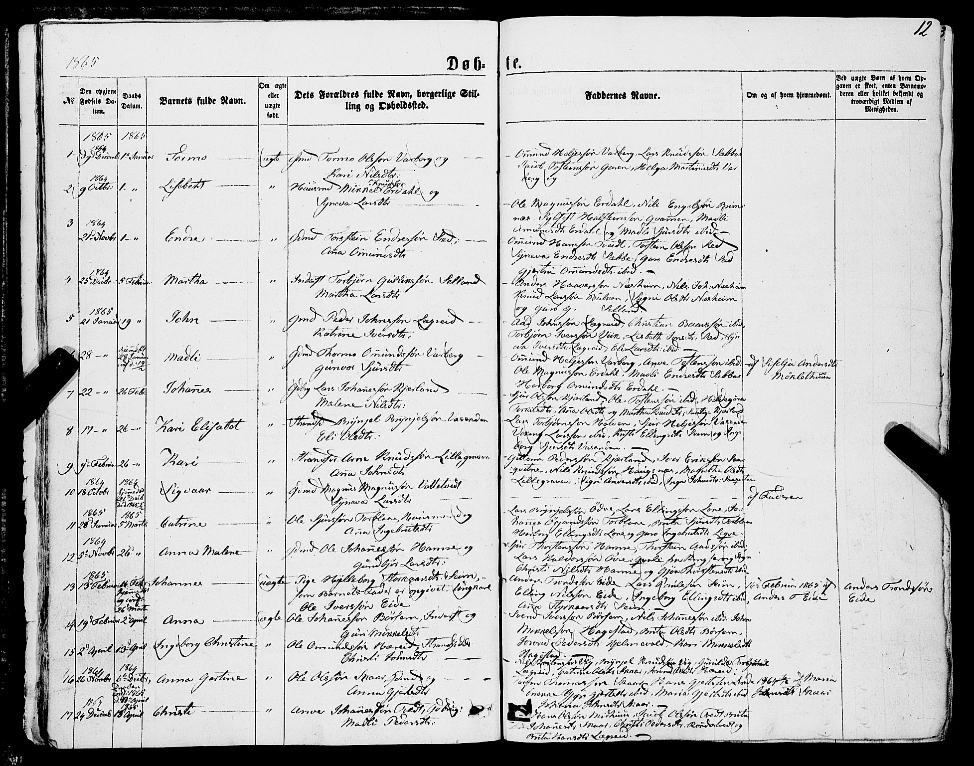 Ulvik sokneprestembete, AV/SAB-A-78801/H/Haa: Ministerialbok nr. A 15, 1864-1878, s. 12