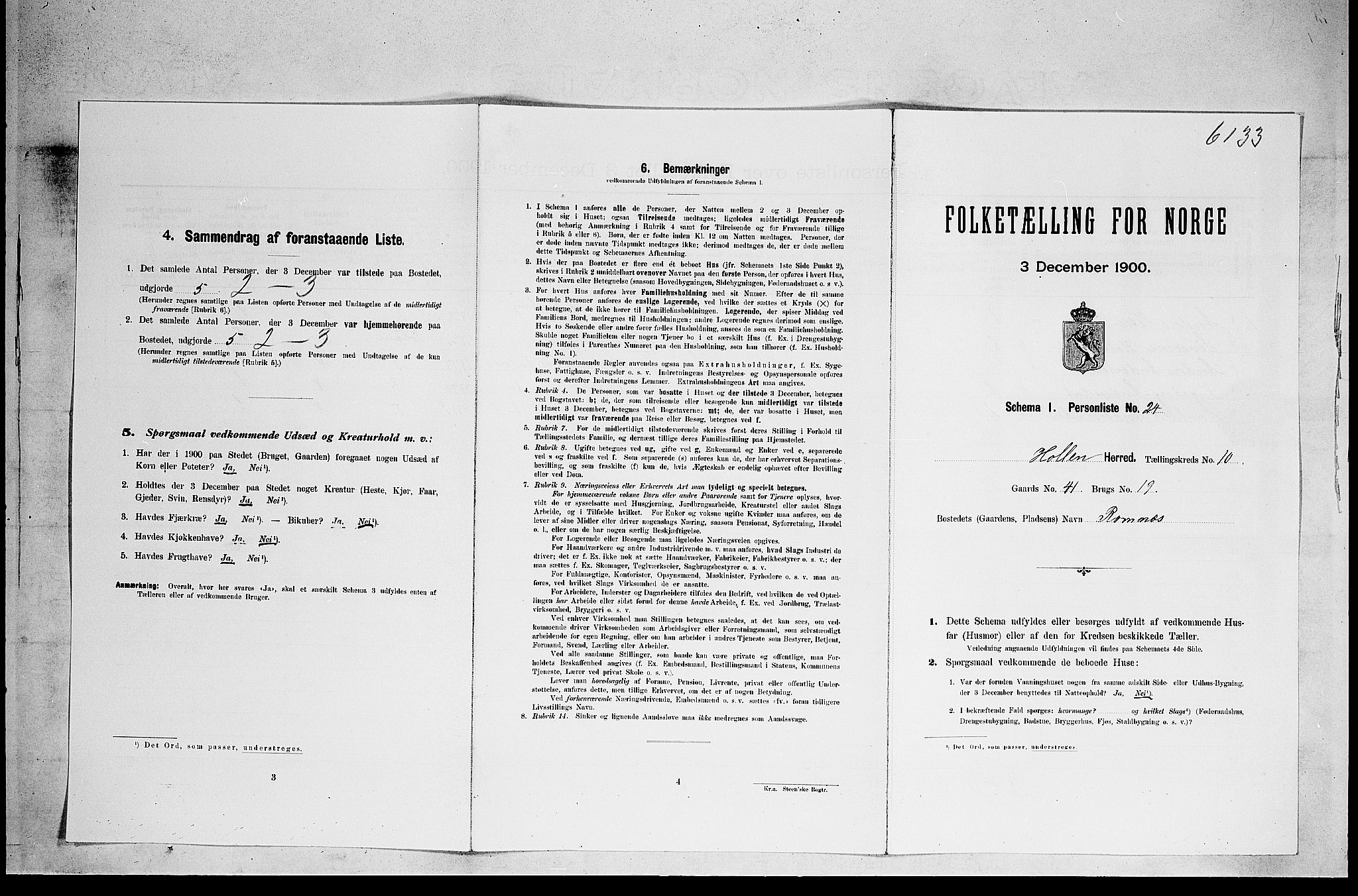 SAKO, Folketelling 1900 for 0819 Holla herred, 1900, s. 1038