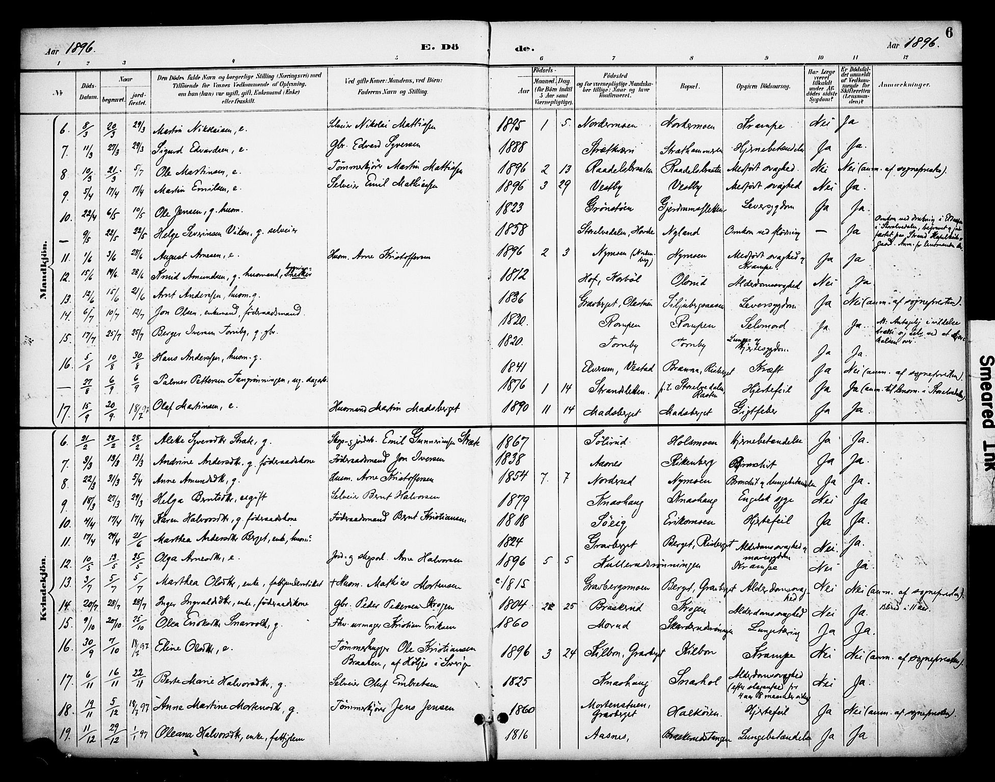 Våler prestekontor, Hedmark, AV/SAH-PREST-040/H/Ha/Haa/L0006: Ministerialbok nr. 6, 1894-1908, s. 6