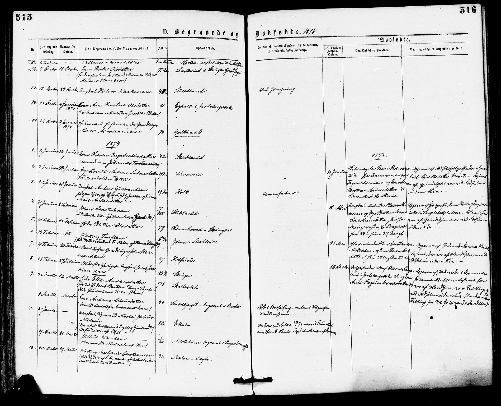 Skoger kirkebøker, AV/SAKO-A-59/F/Fa/L0005: Ministerialbok nr. I 5, 1873-1884, s. 515-516