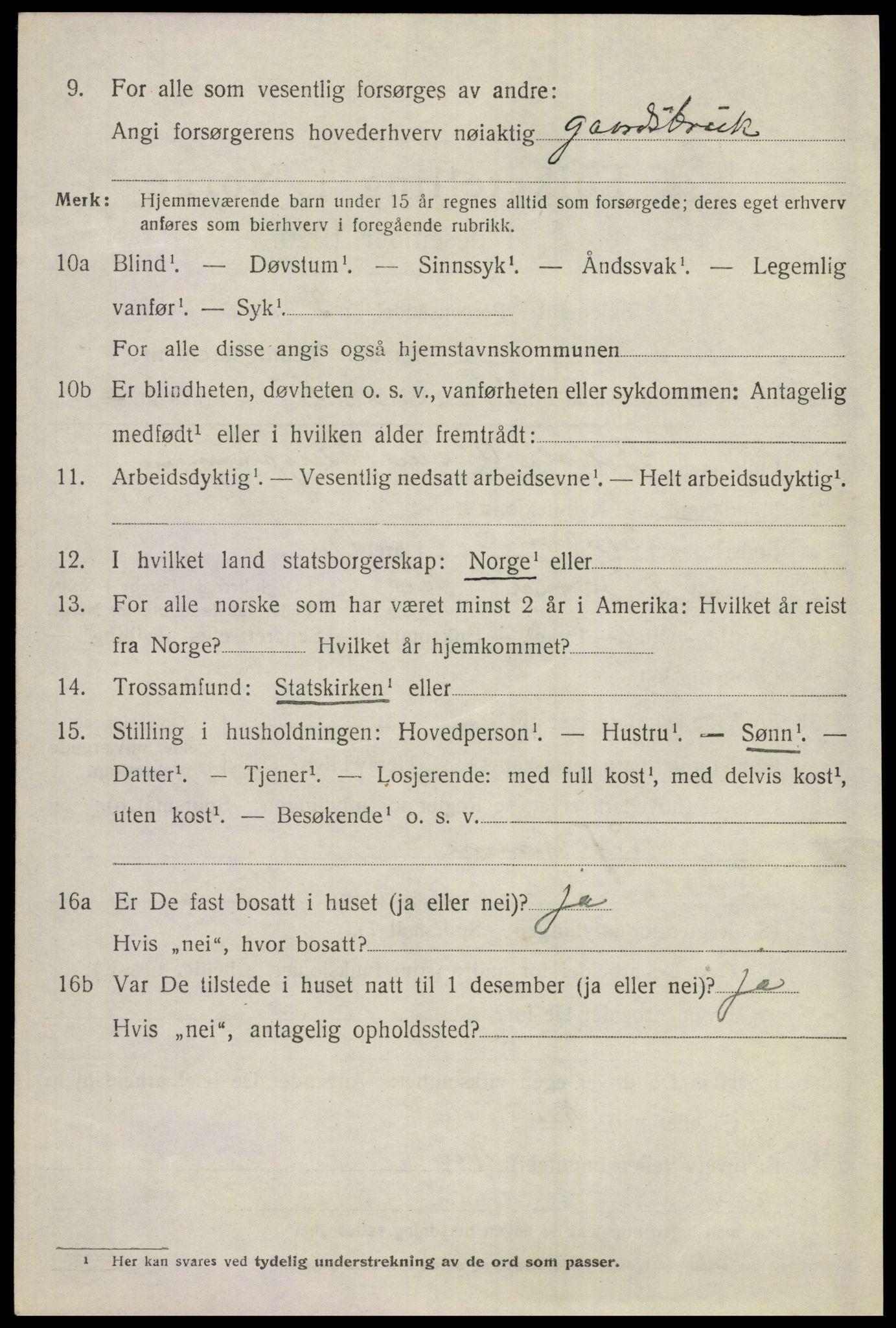SAKO, Folketelling 1920 for 0619 Ål herred, 1920, s. 3877