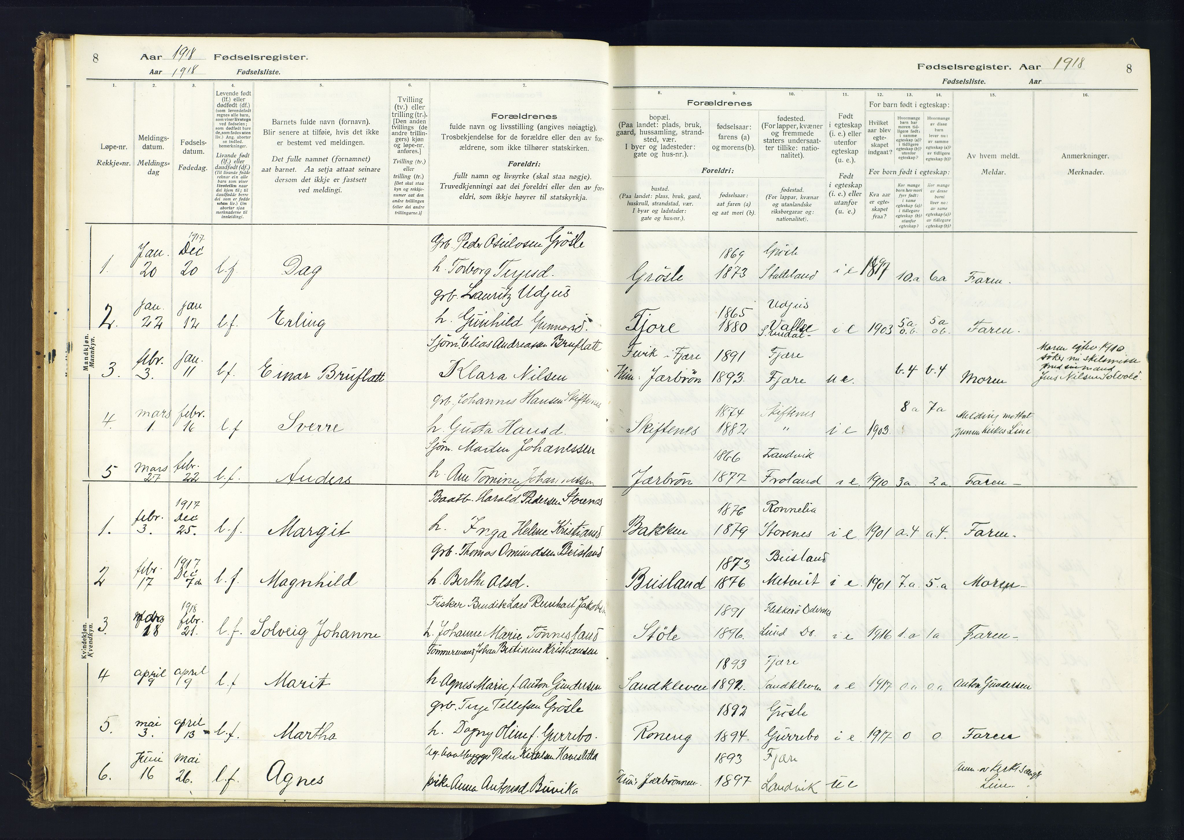 Hommedal sokneprestkontor, AV/SAK-1111-0023/J/Jd/L0001: Fødselsregister nr. 1, 1916-1962, s. 8